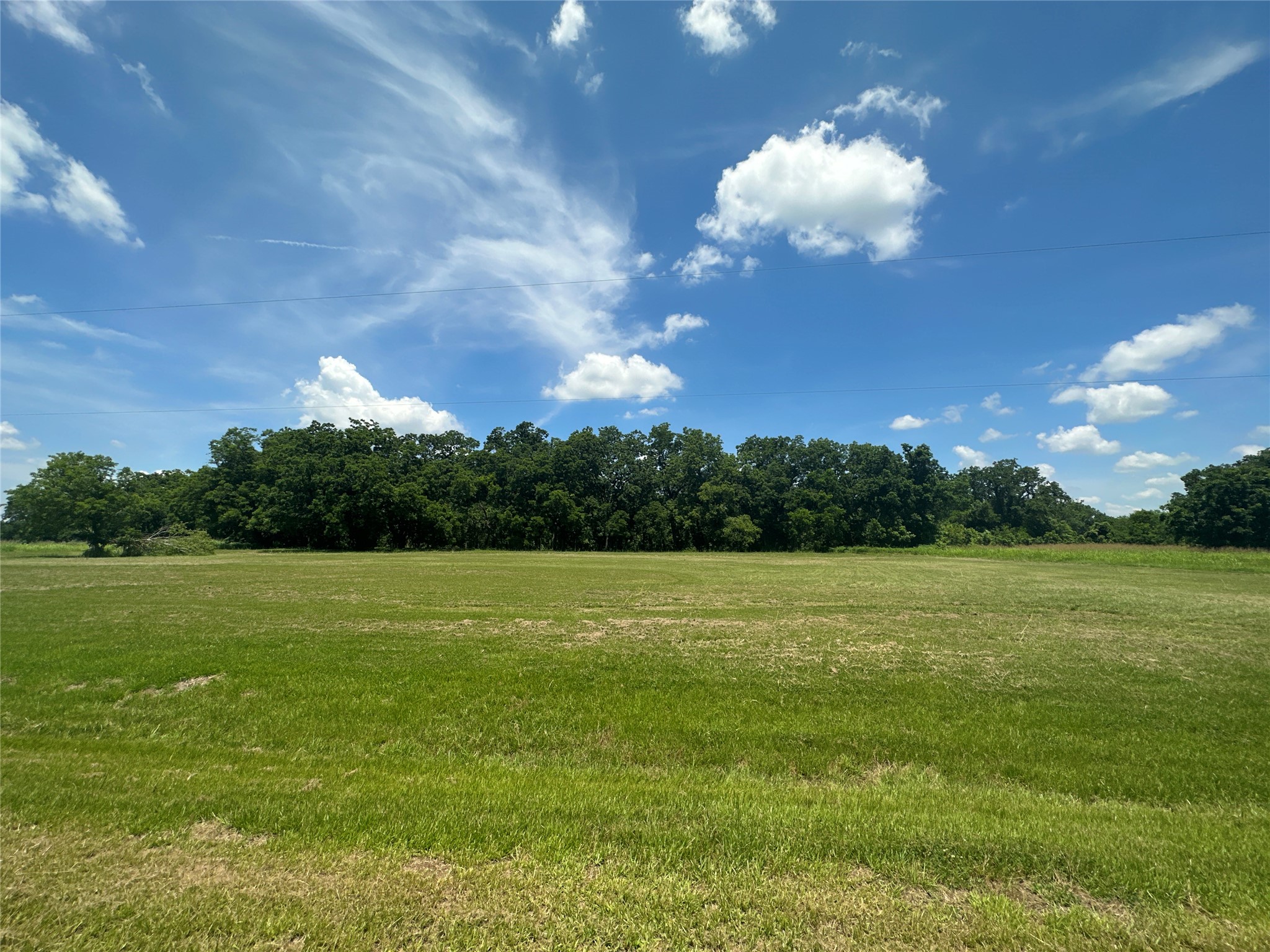 16410 Deerhaven Run Property Photo 6