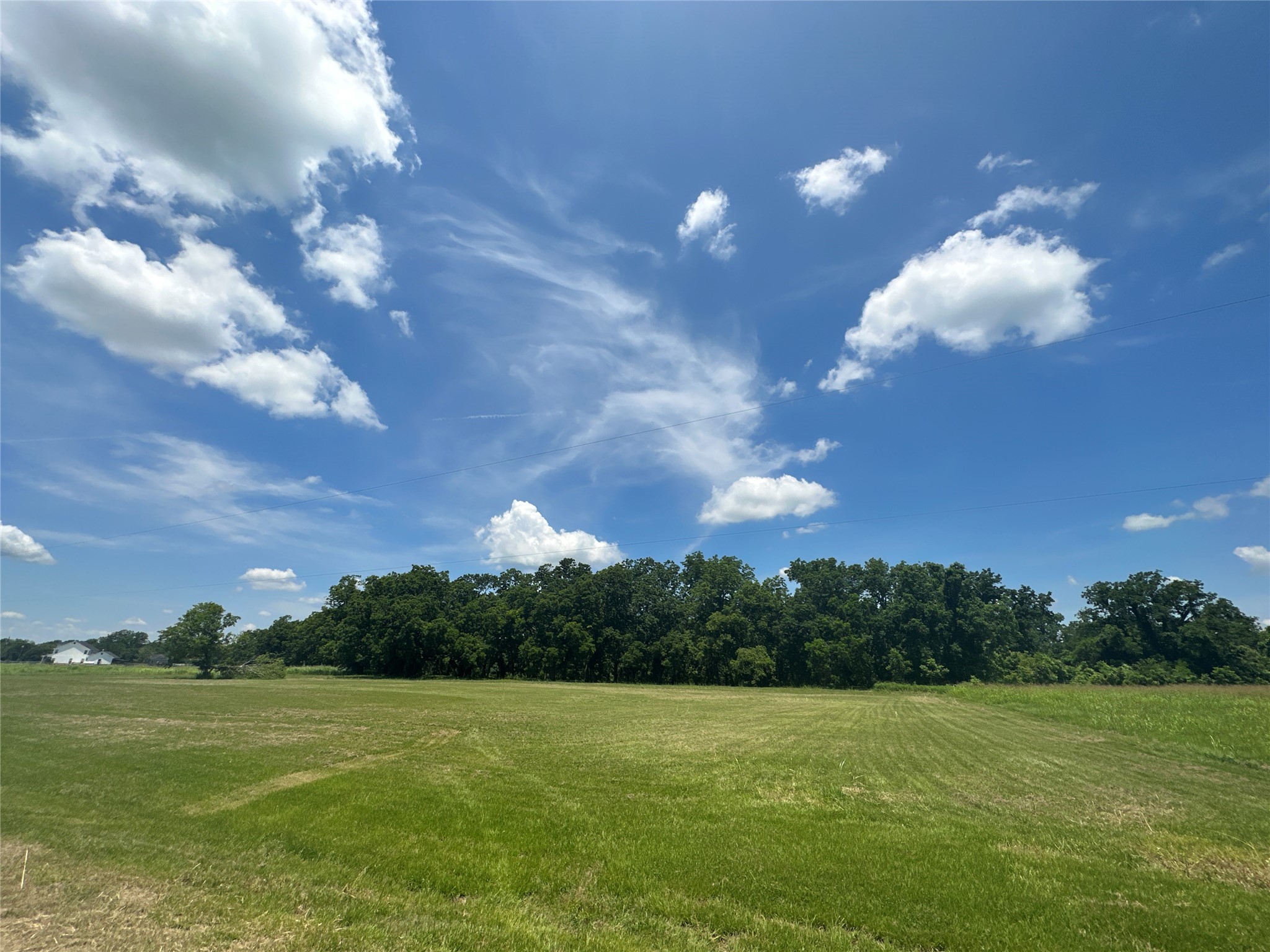 16410 Deerhaven Run Property Photo 7
