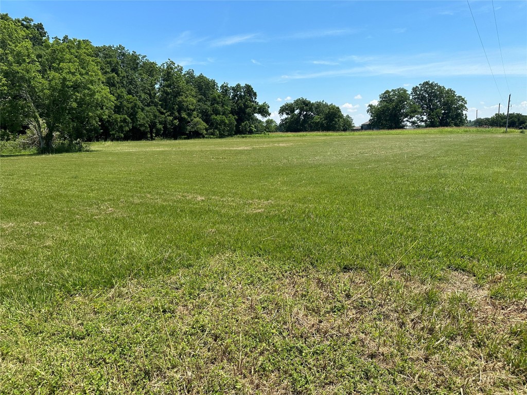 16410 Deerhaven Run Property Photo 8