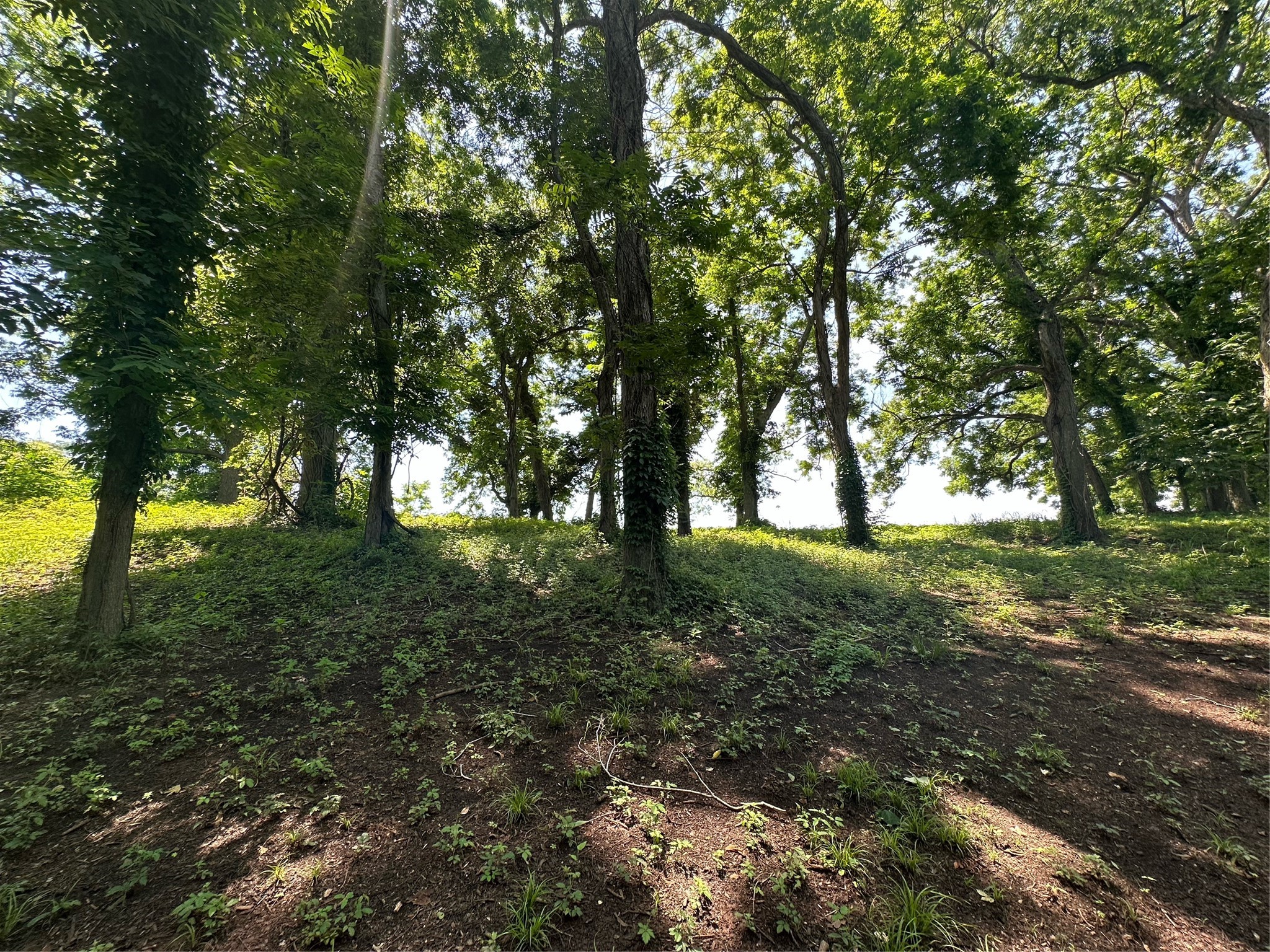 16410 Deerhaven Run Property Photo 10