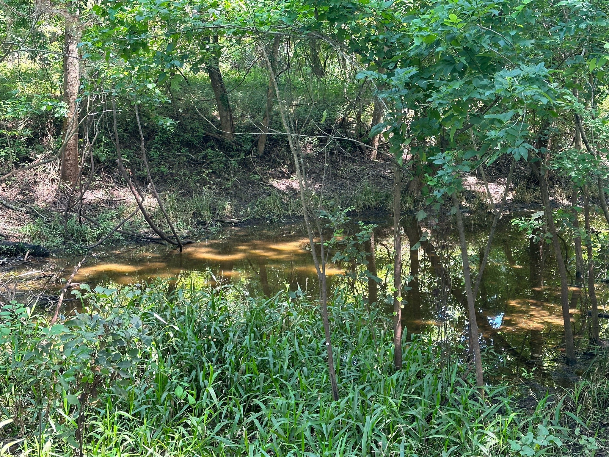16410 Deerhaven Run Property Photo 12