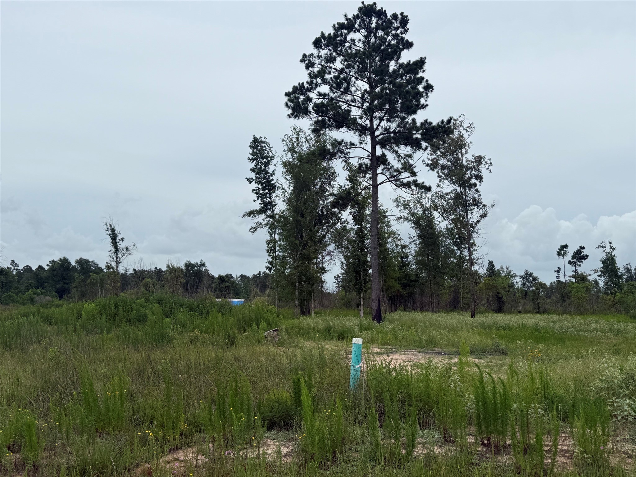 390 Road 5879 Property Photo 1