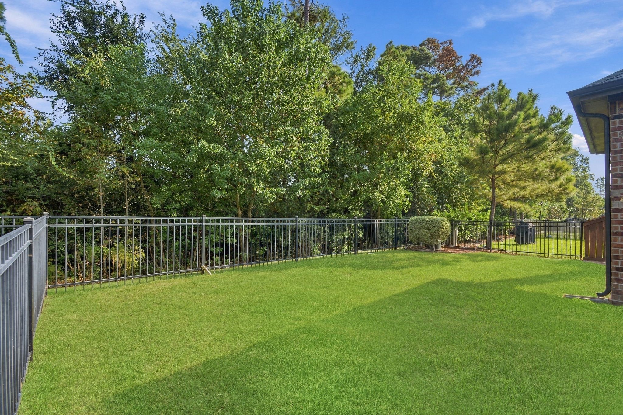 12207 Texas Trumpet Trail Property Photo 31