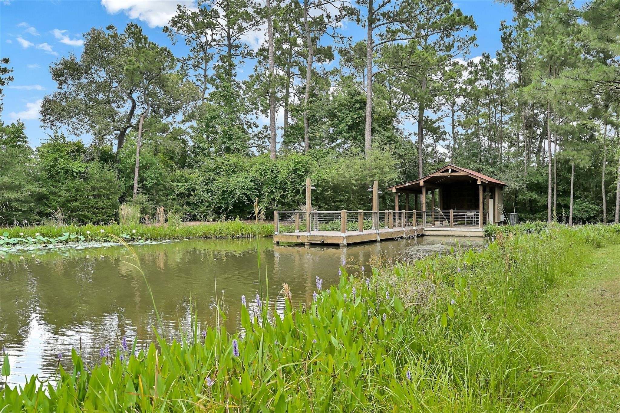 12207 Texas Trumpet Trail Property Photo 38
