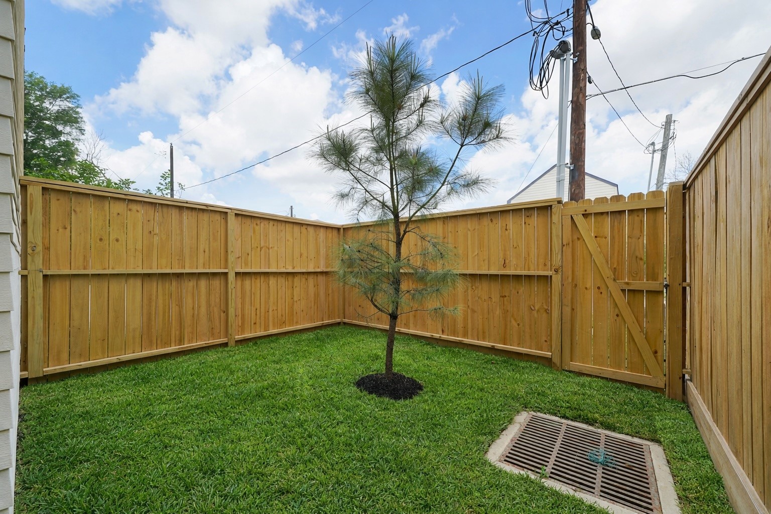 861 Rachel Street C Property Photo 4