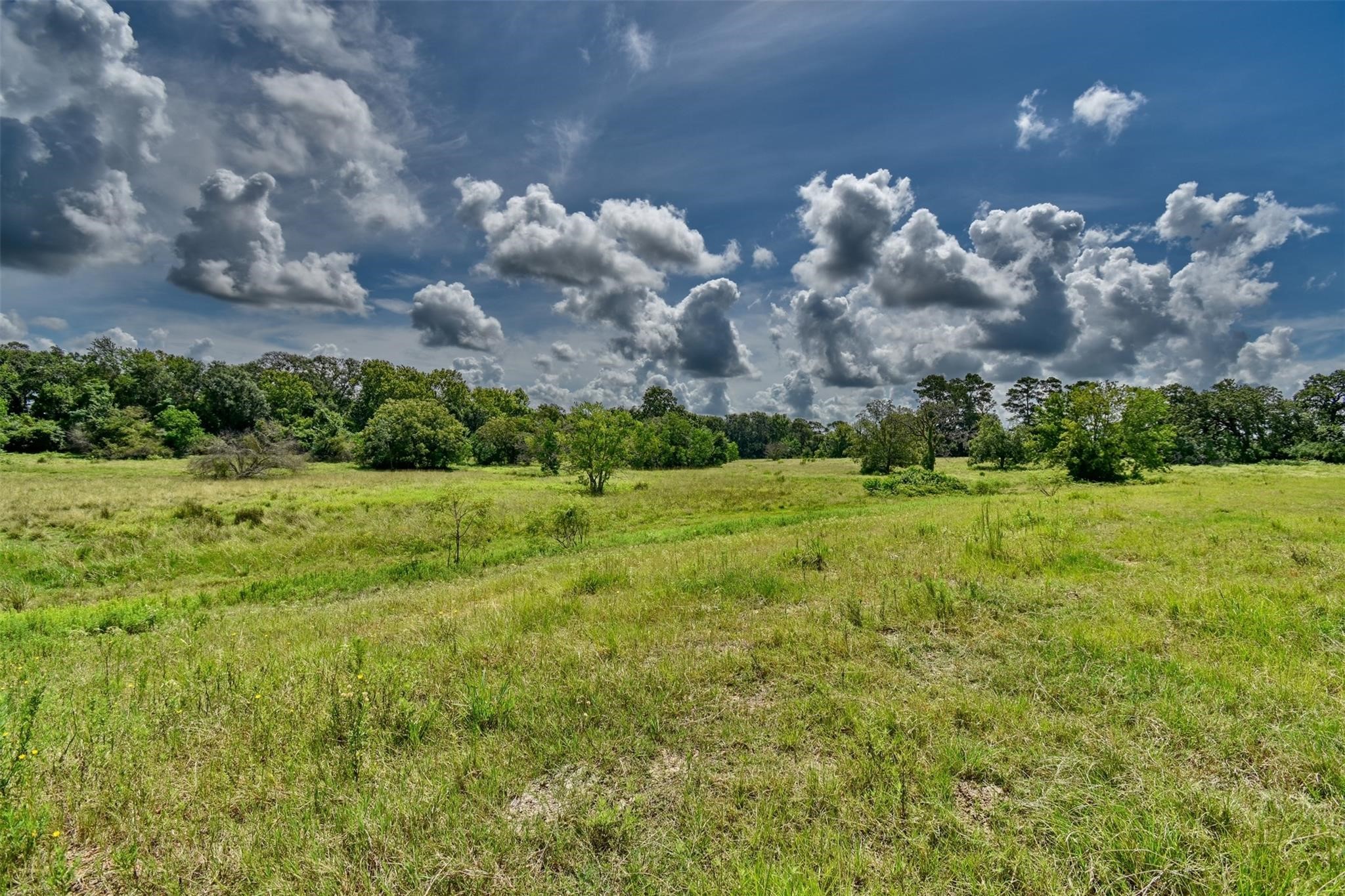 2316 Highway 159 E Property Photo 42