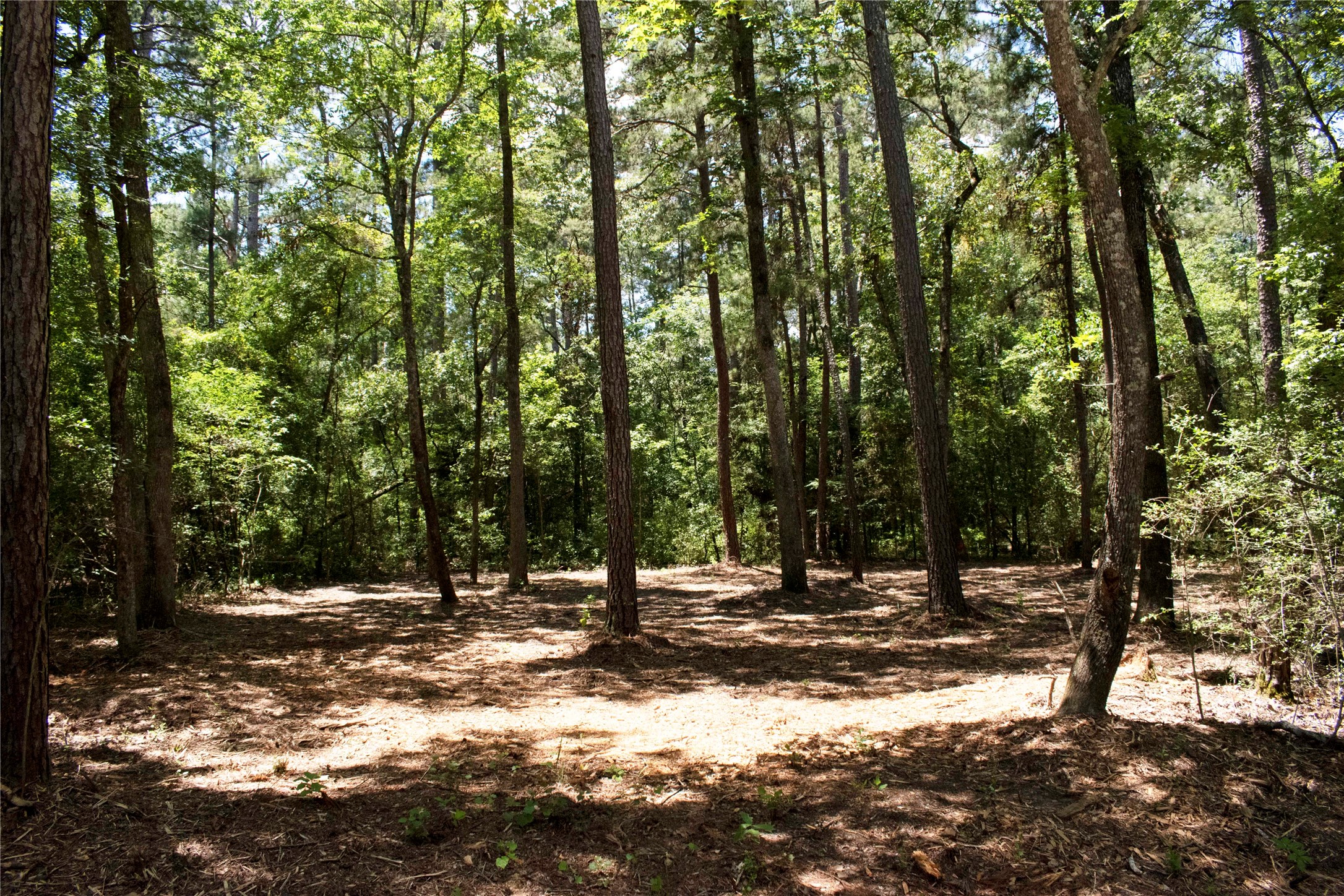 TBD Dogwood Lane Property Photo 1