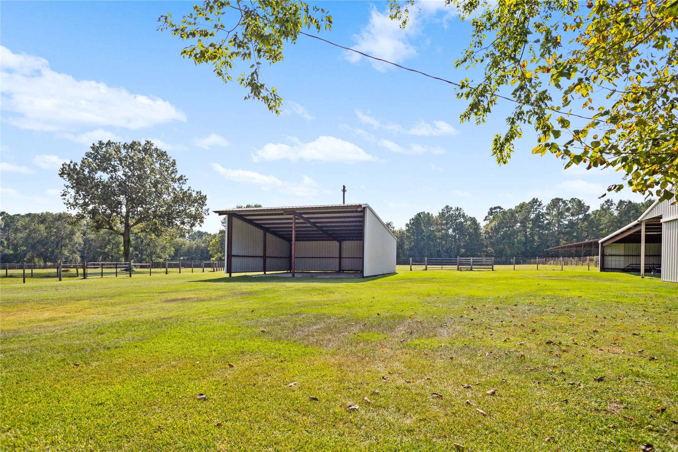 7875 Willys Road Property Photo 38