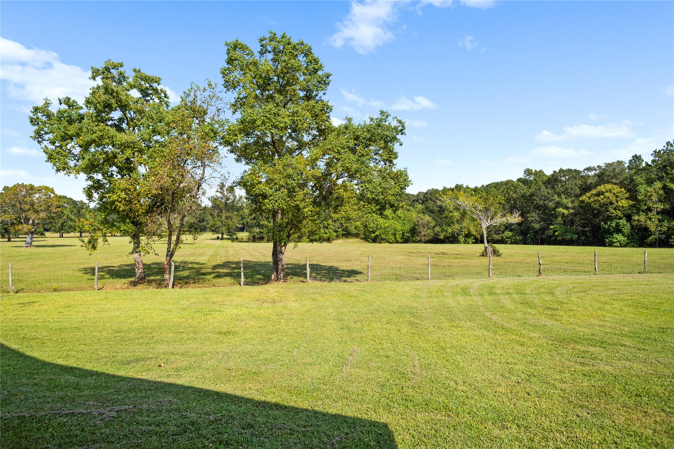 7875 Willys Road Property Photo 41