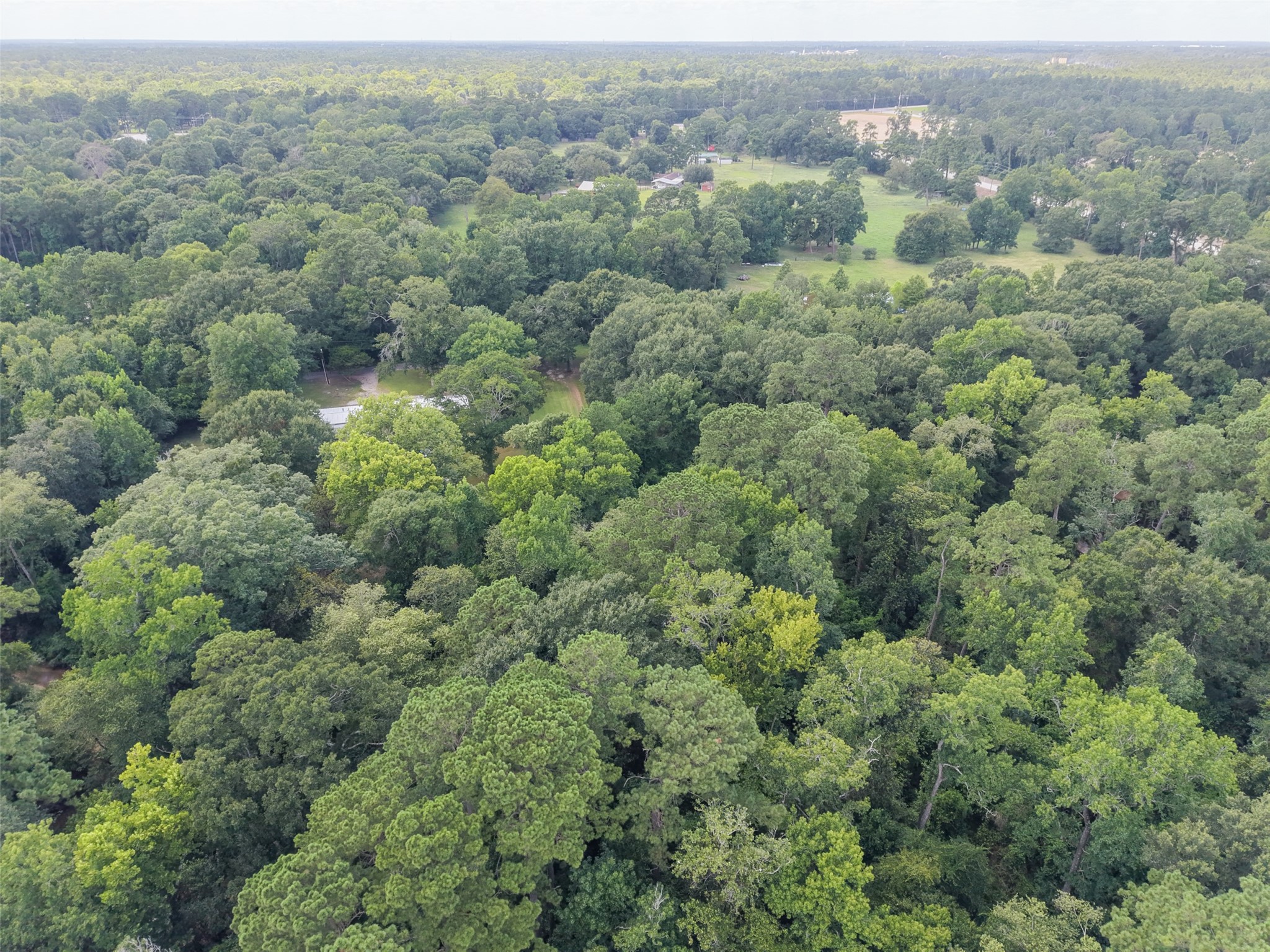 10291 Hart Road Property Photo 9