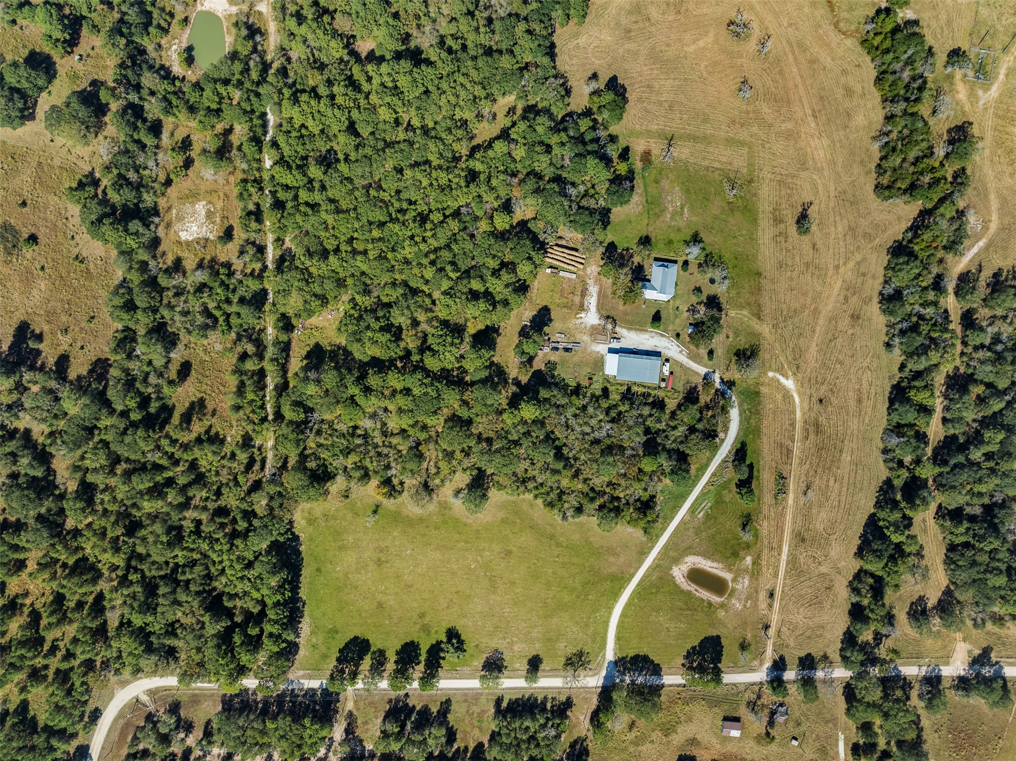 7781 County Road 227 Property Photo 4