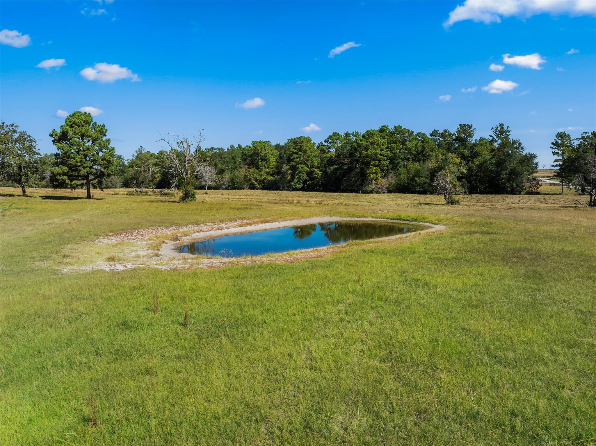 7781 County Road 227 Property Photo 44
