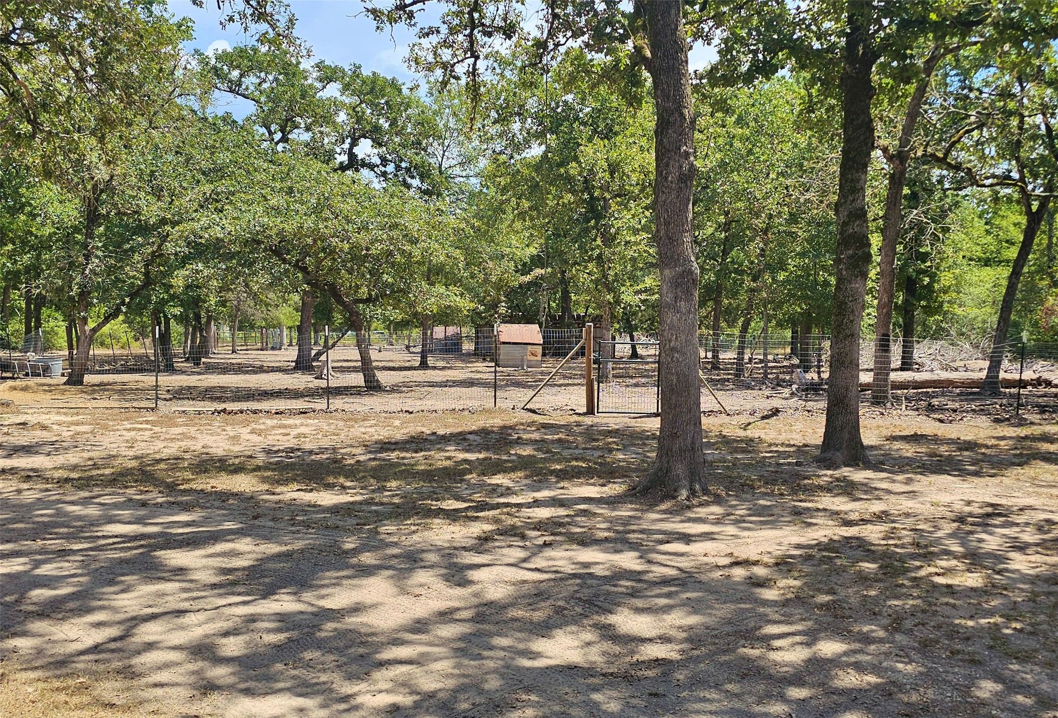 7705 County Road 342 Property Photo 26