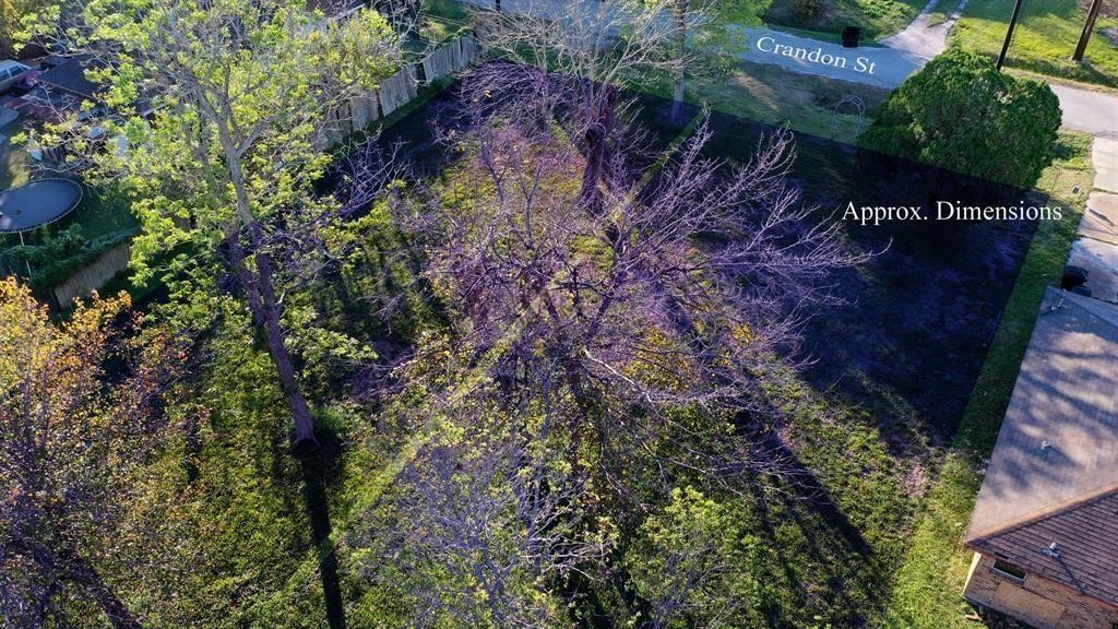 3141 Crandon Street Property Photo 6