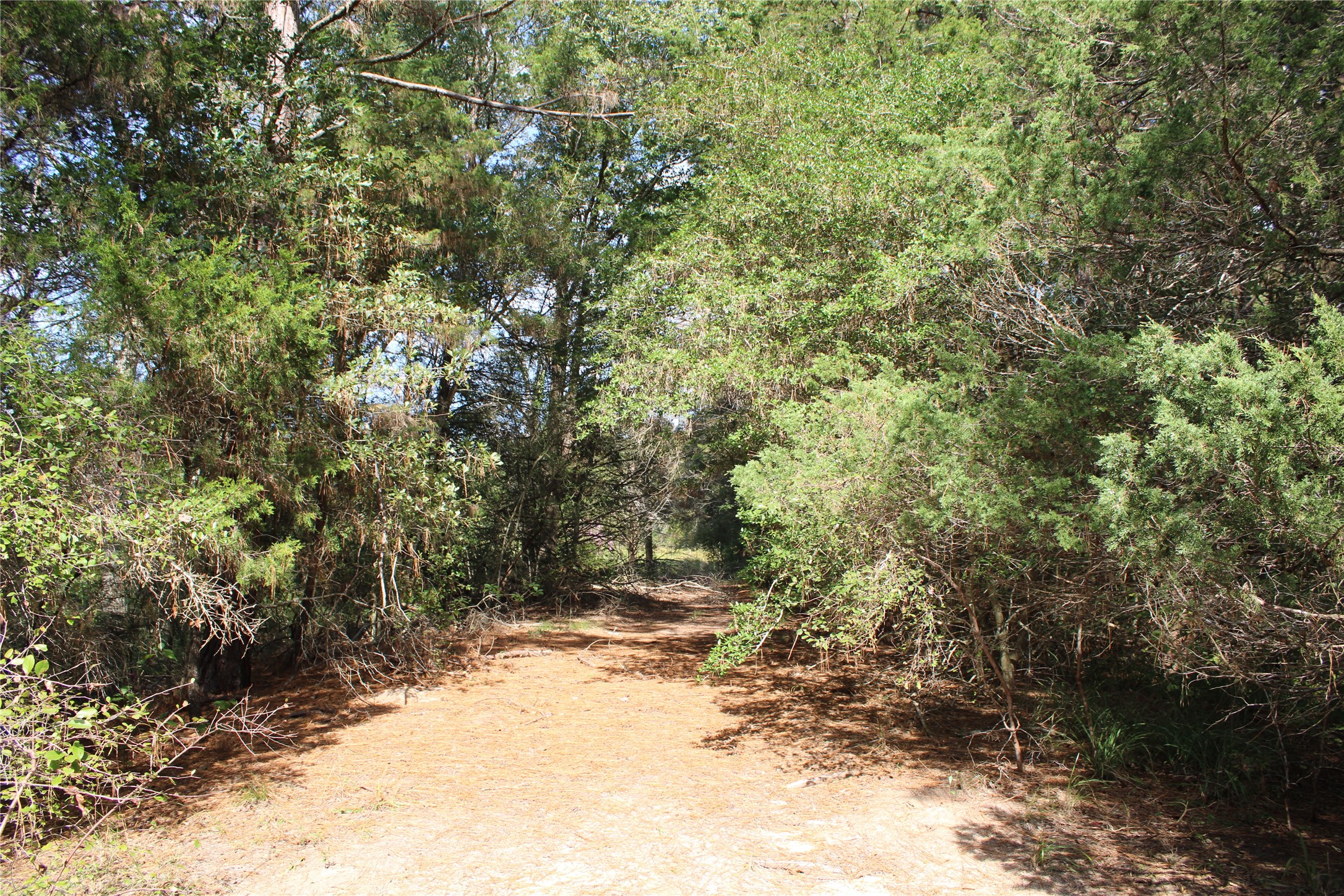 5485 Highway 36 N Property Photo 2