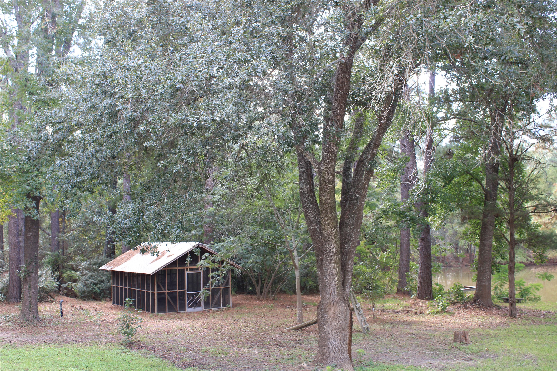 5485 Highway 36 N Property Photo 6