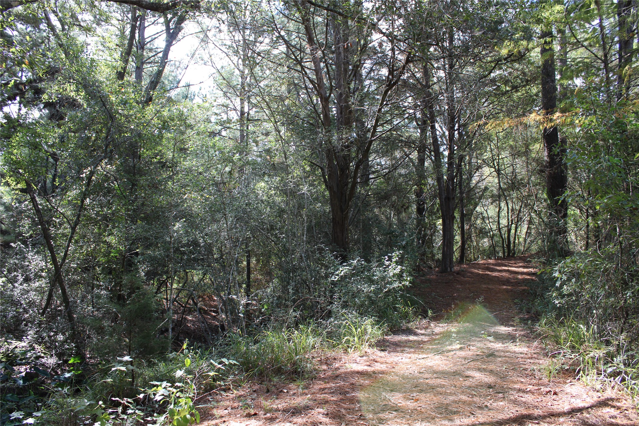 5485 Highway 36 N Property Photo 11