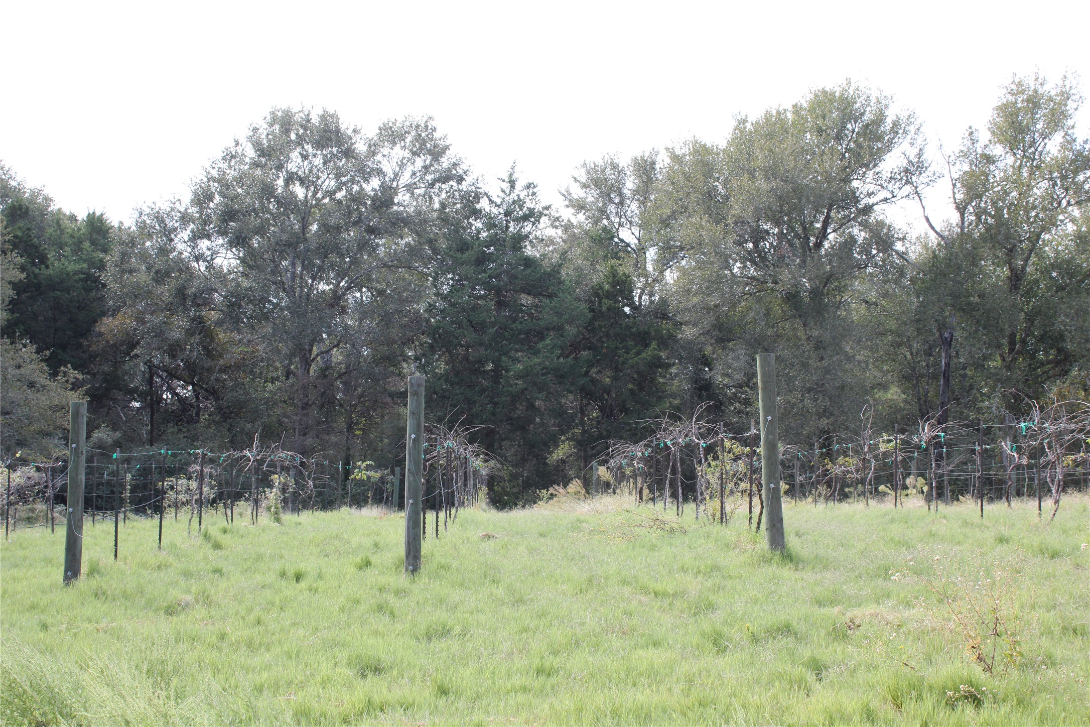 5485 Highway 36 N Property Photo 27
