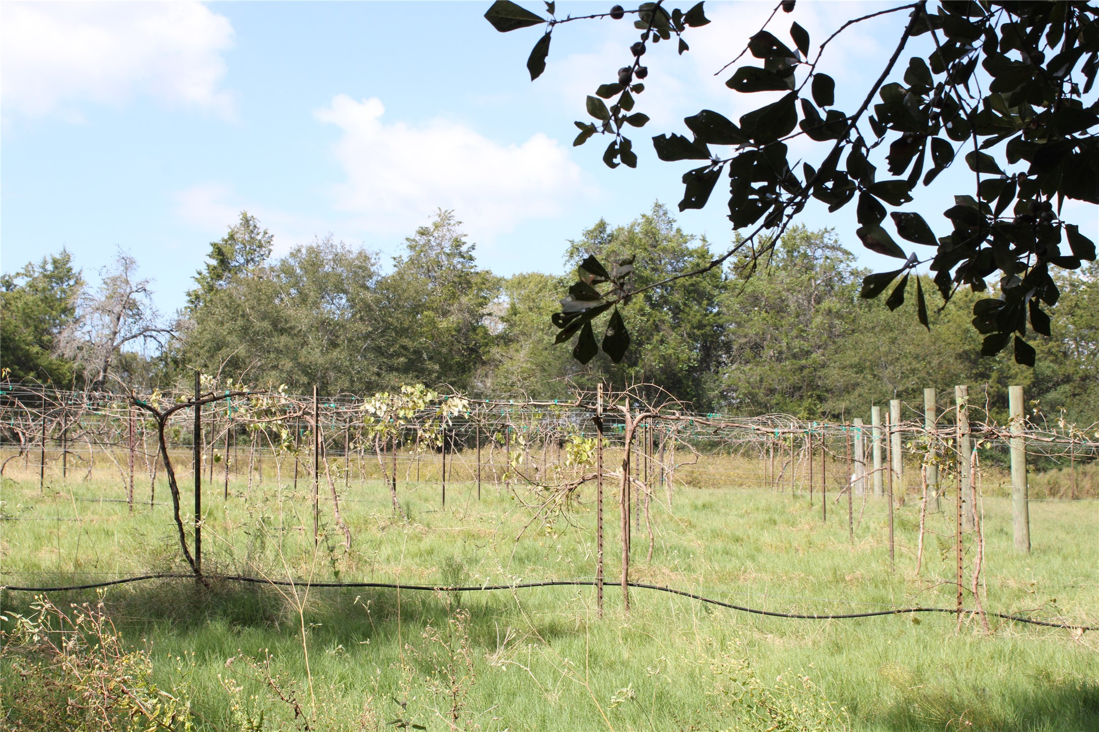 5485 Highway 36 N Property Photo 28