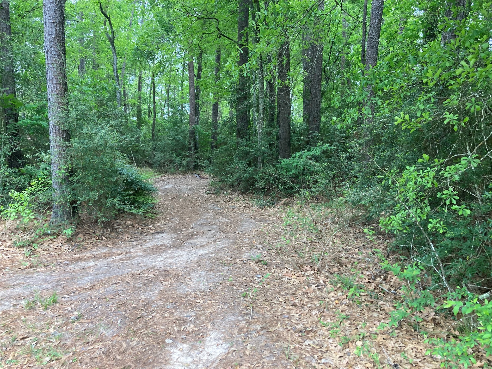 Tbd Afton Way Property Photo 6