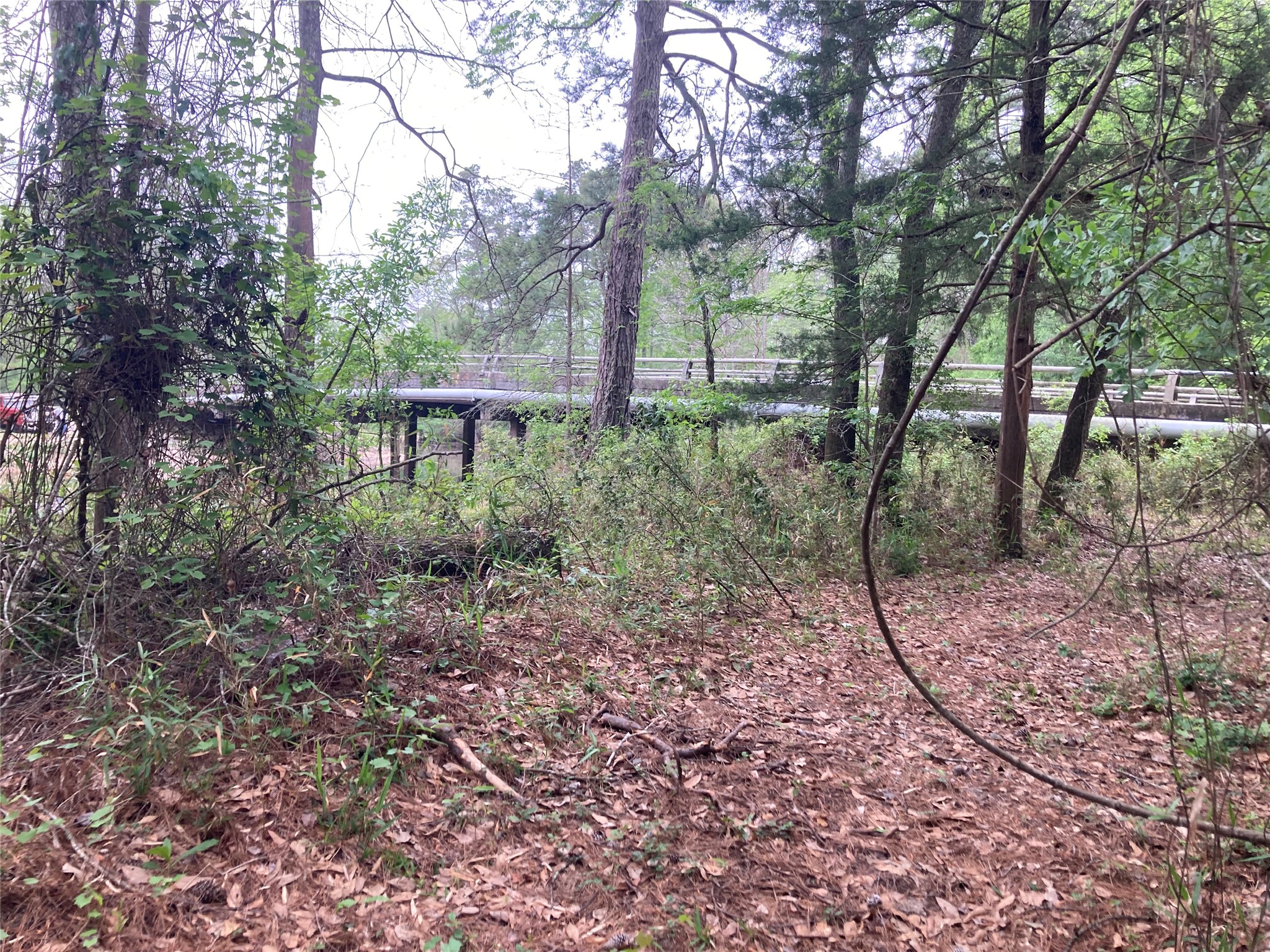 Tbd Afton Way Property Photo 7
