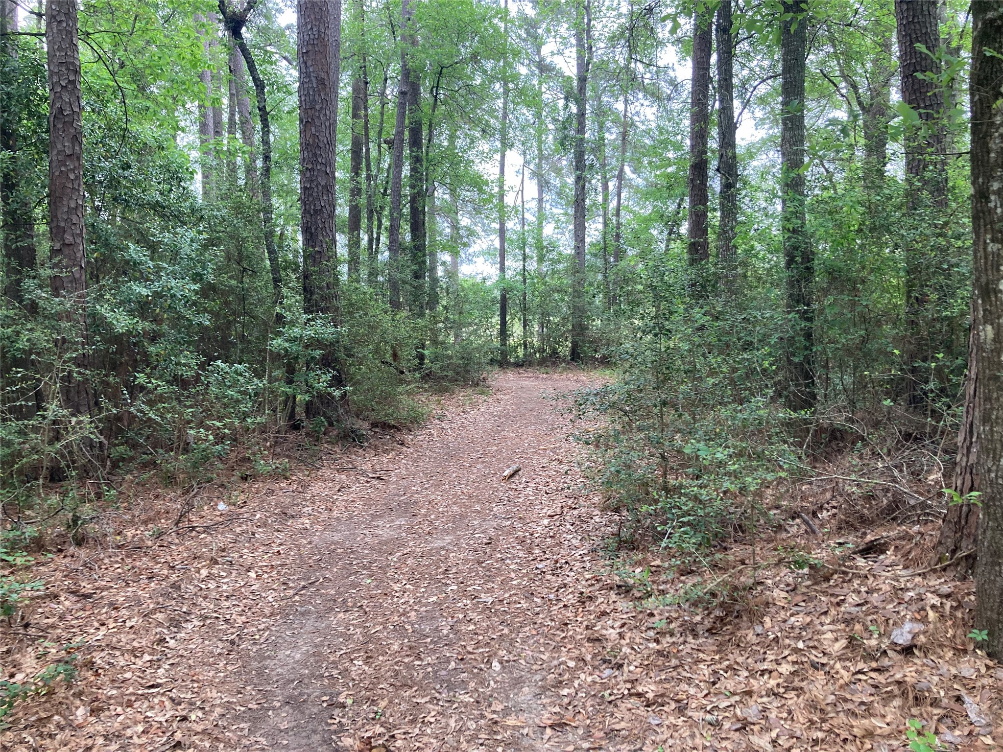 Tbd Afton Way Property Photo 11