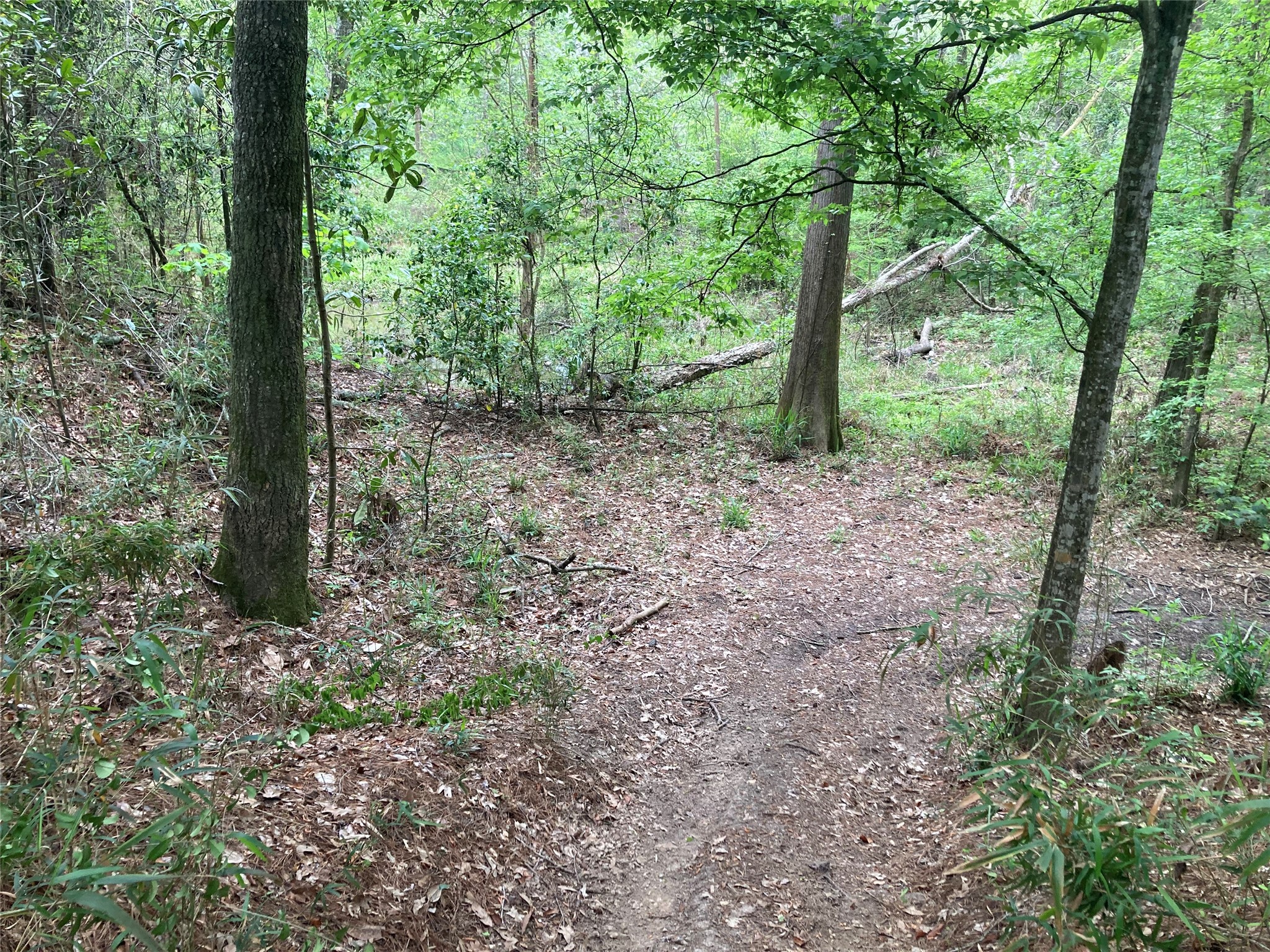 Tbd Afton Way Property Photo 12