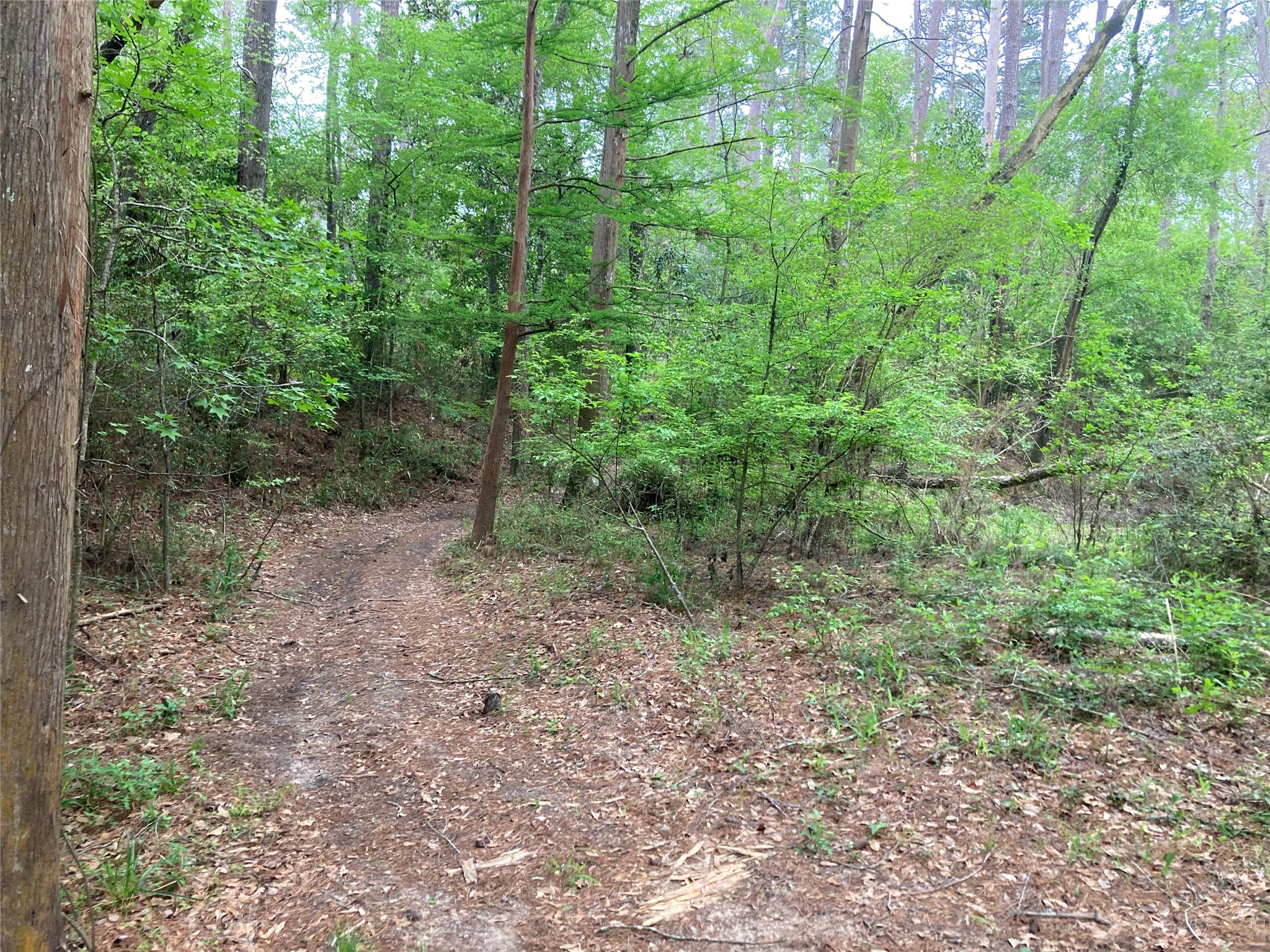 Tbd Afton Way Property Photo 13