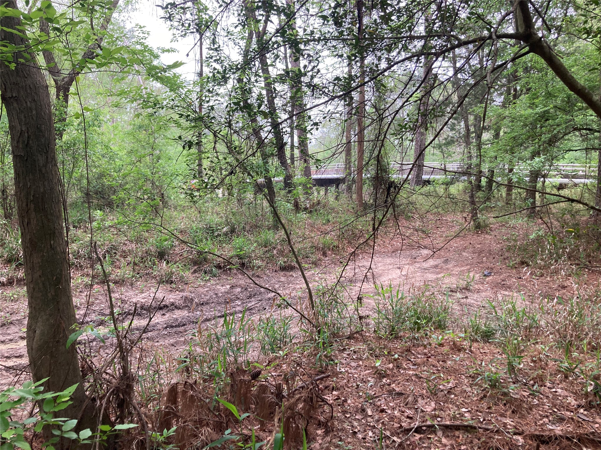 Tbd Afton Way Property Photo 14