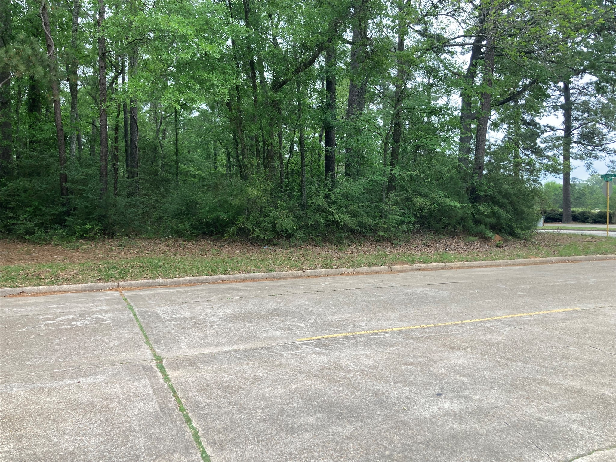 Tbd Afton Way Property Photo 15