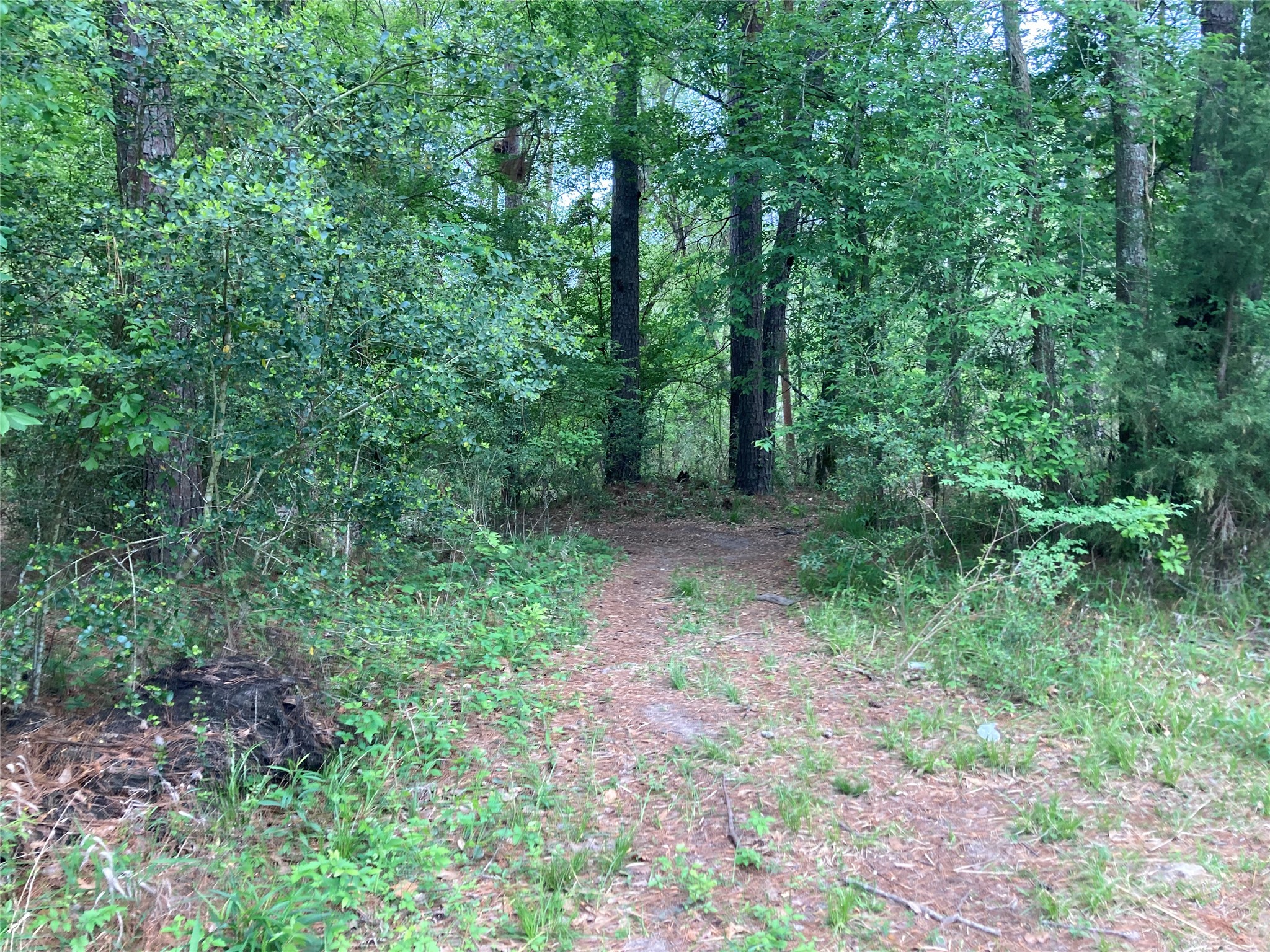 Tbd Afton Way Property Photo 18