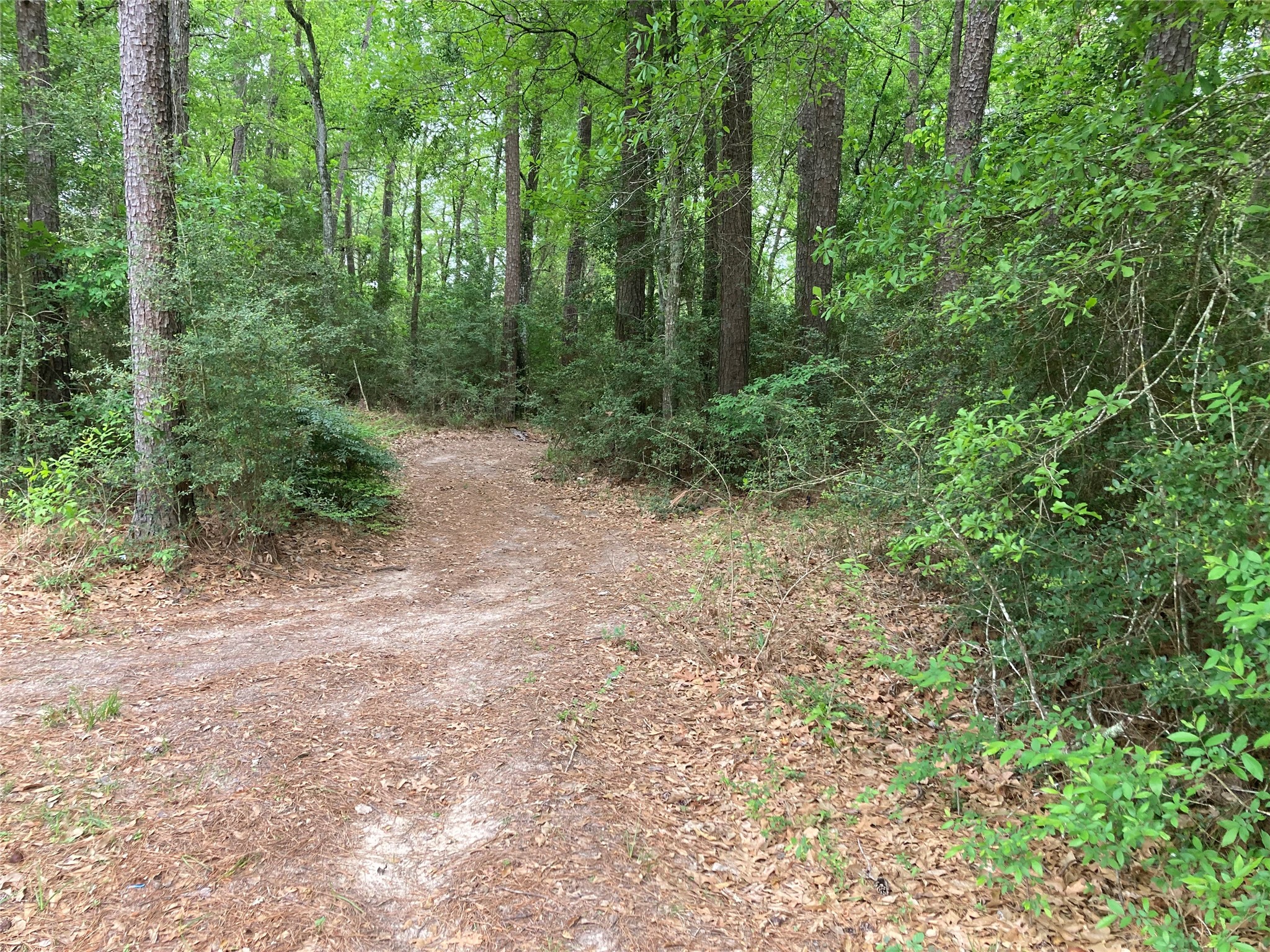 Tbd Afton Way Property Photo 19