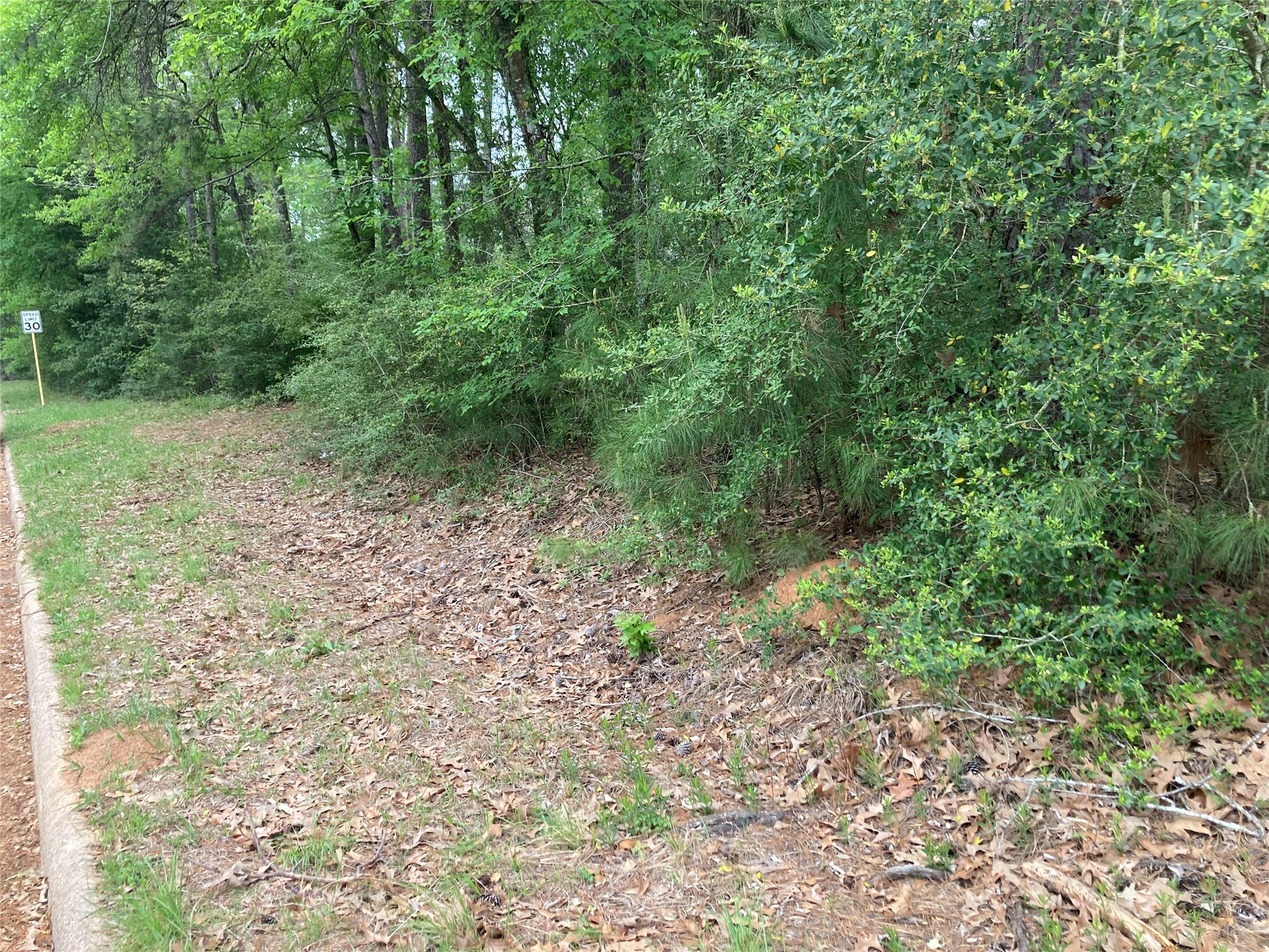 Tbd Afton Way Property Photo 20