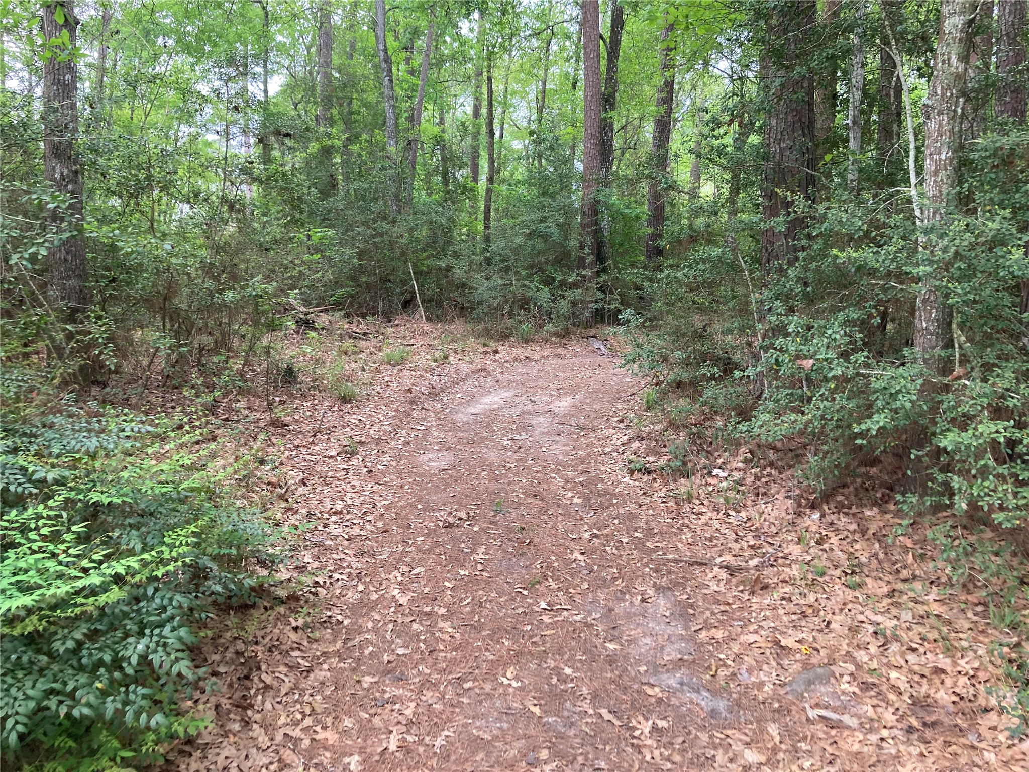 Tbd Afton Way Property Photo 22