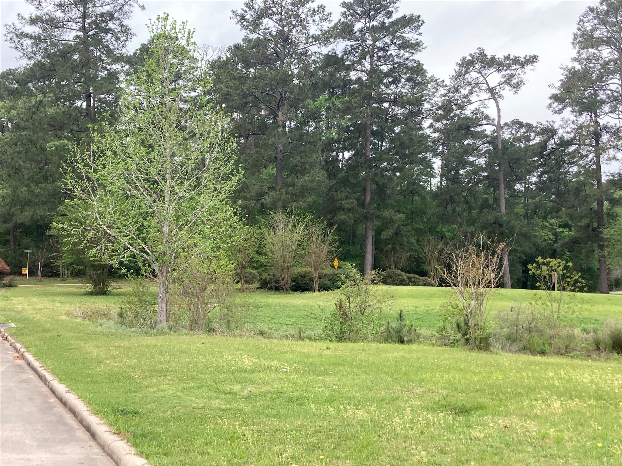 Tbd Afton Way Property Photo 23