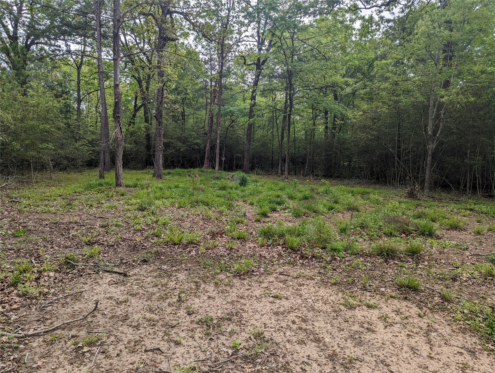 129 S Post Oak Point Property Photo 2