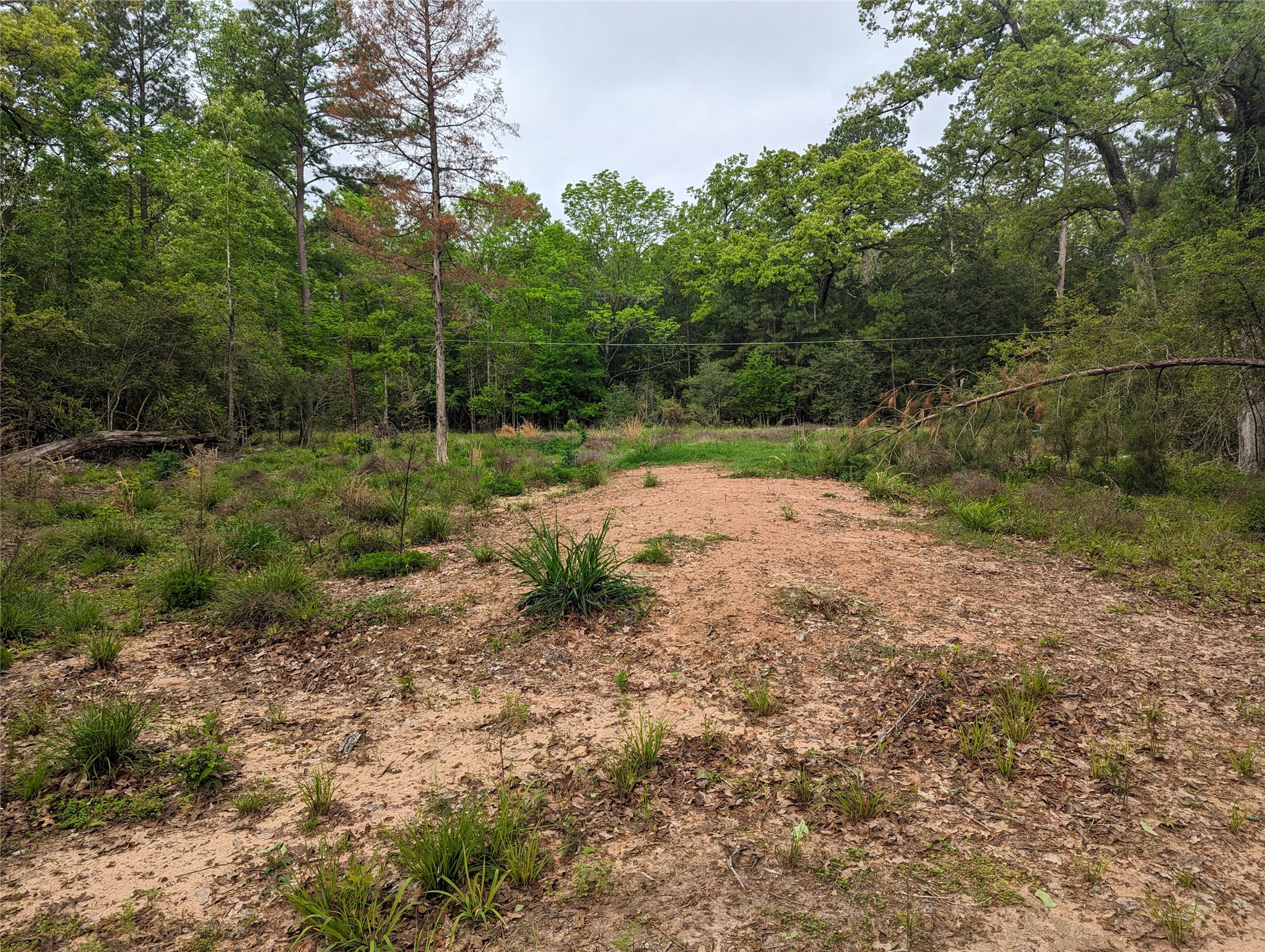 129 S Post Oak Point Property Photo 3