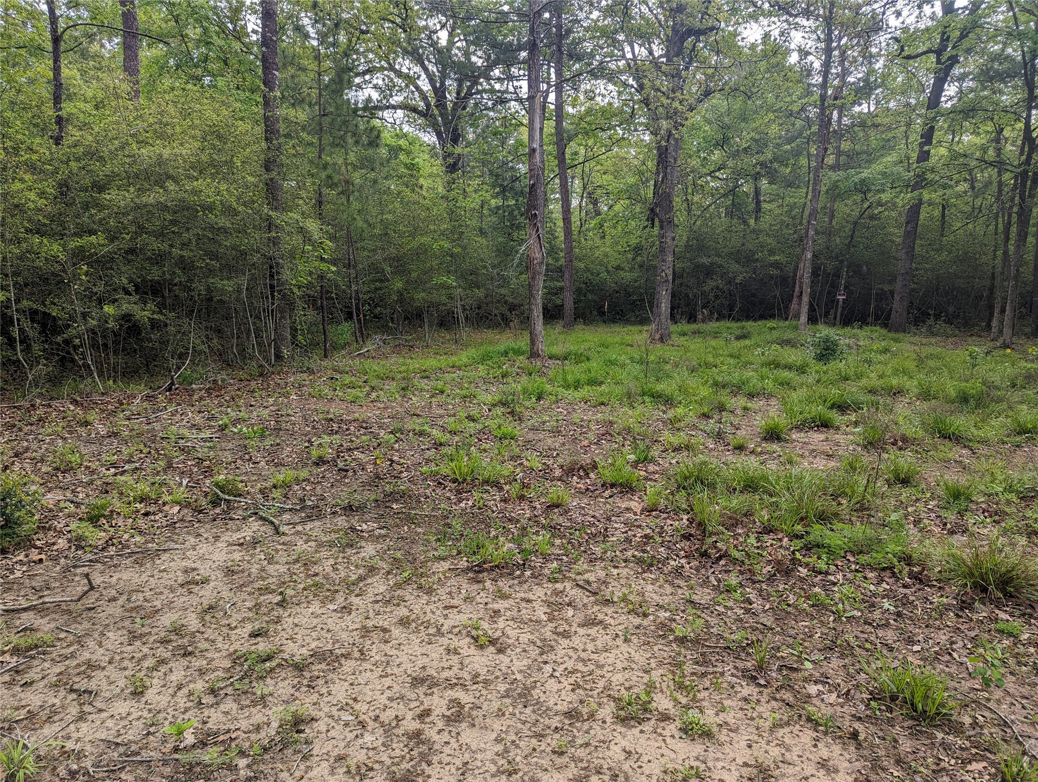 129 S Post Oak Point Property Photo 4
