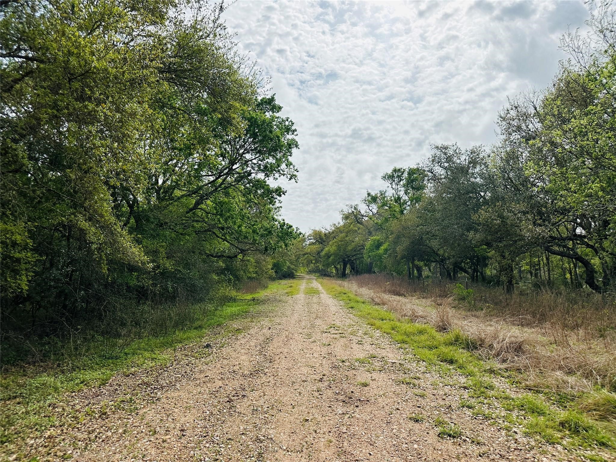 Tract 1 Private Road 648 Street Property Photo 2