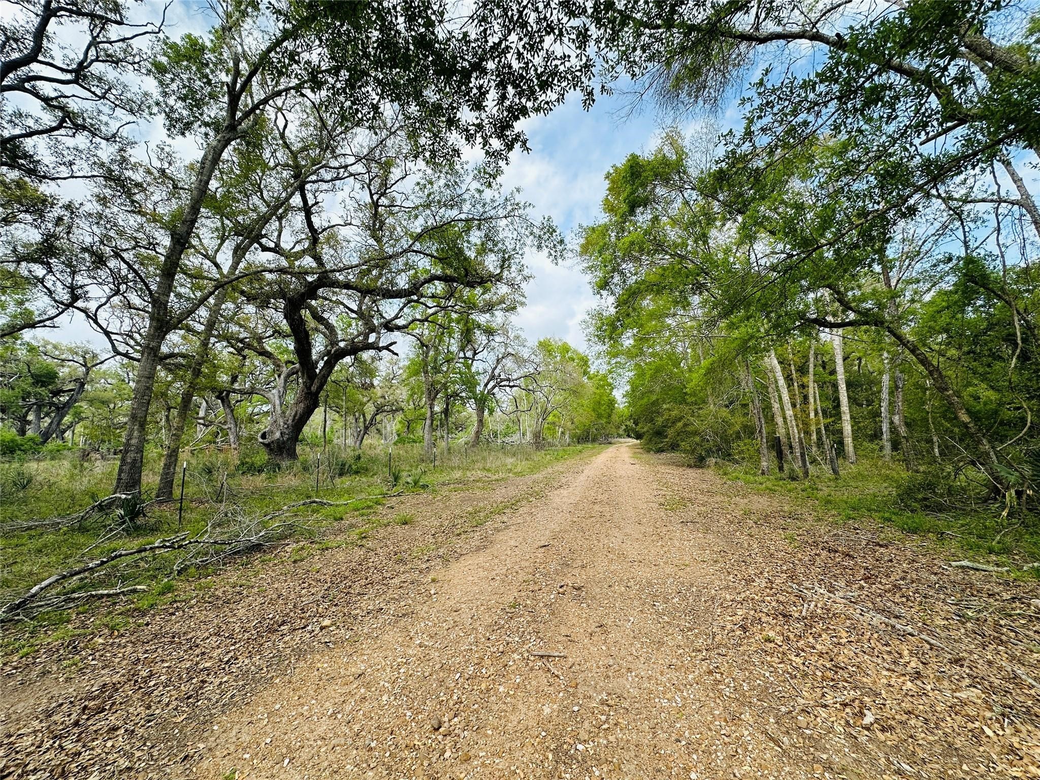 Tract 1 Private Road 648 Street Property Photo 3