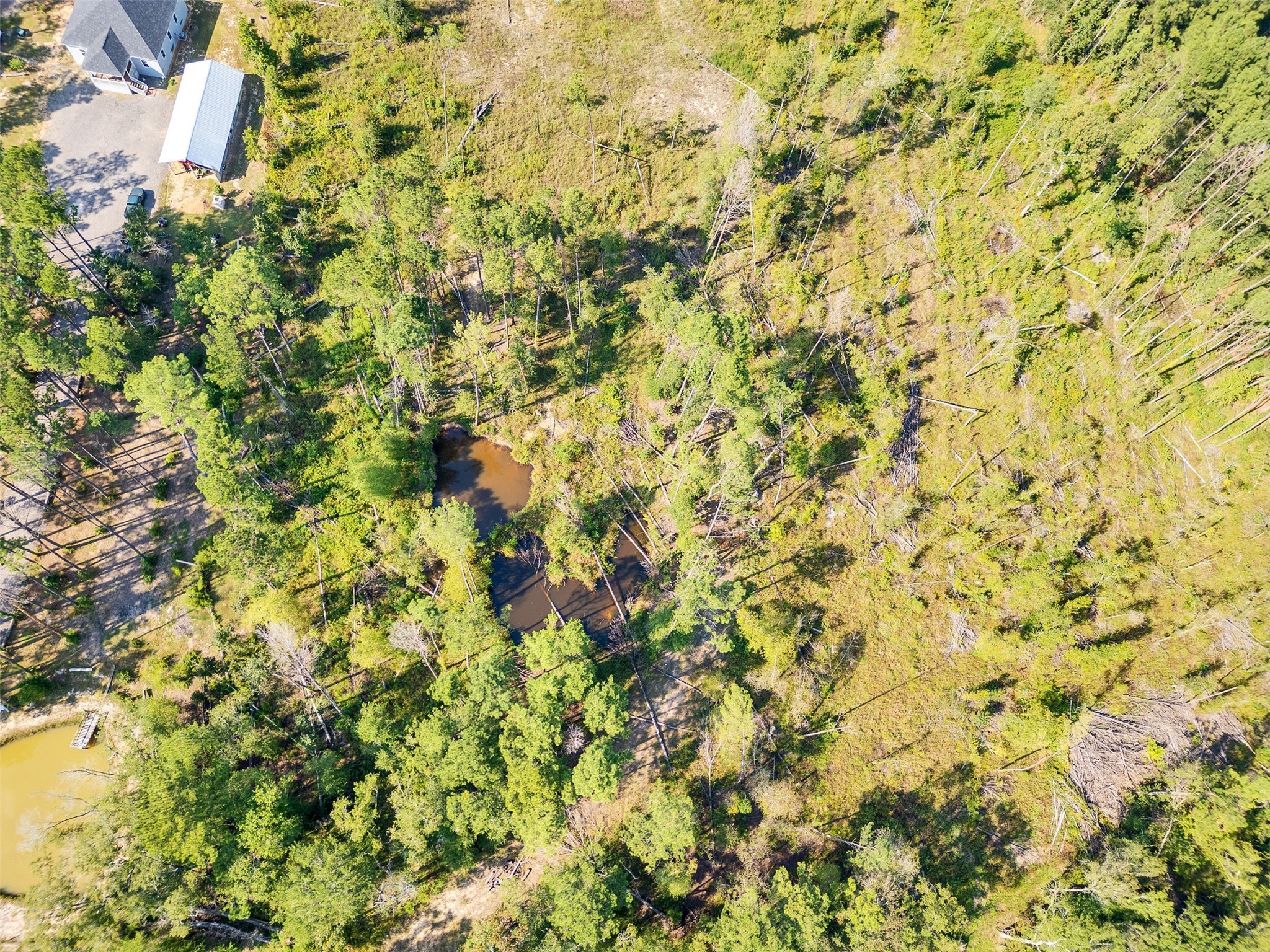 211 Thomas Windt Road Property Photo 5