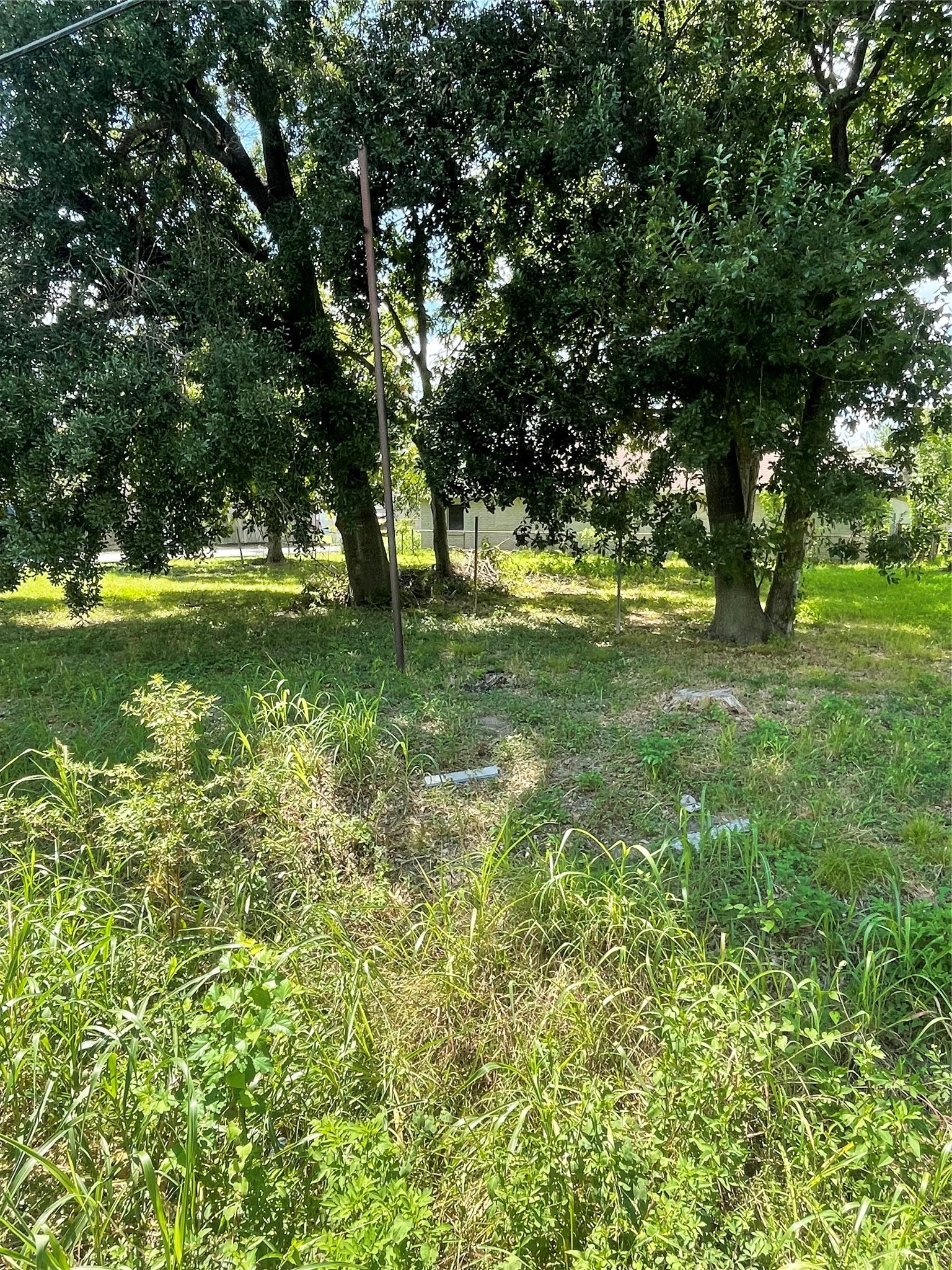 3225 Des Chaumes Street Property Photo 4