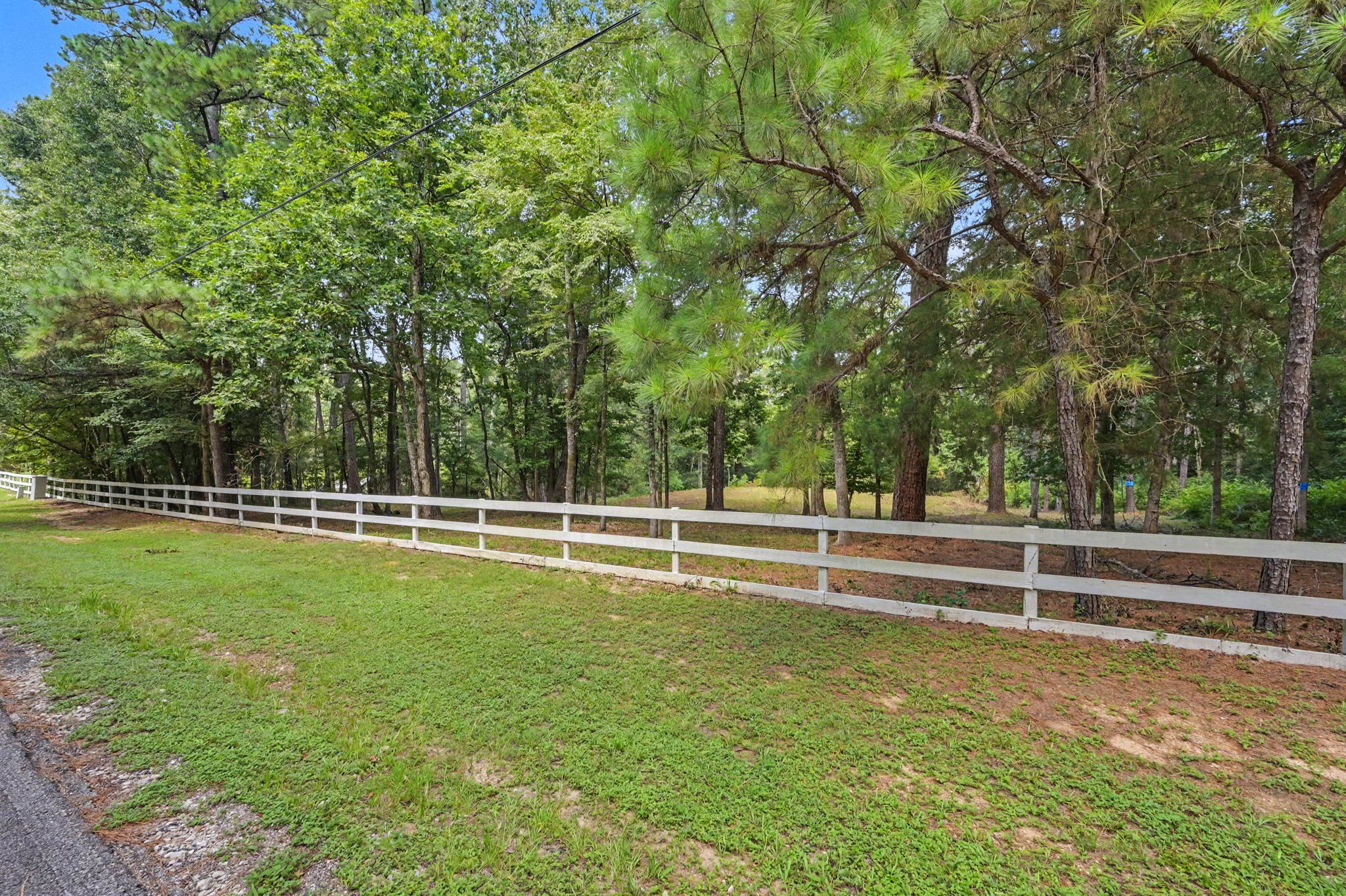 7393 Teaswood Drive Property Photo