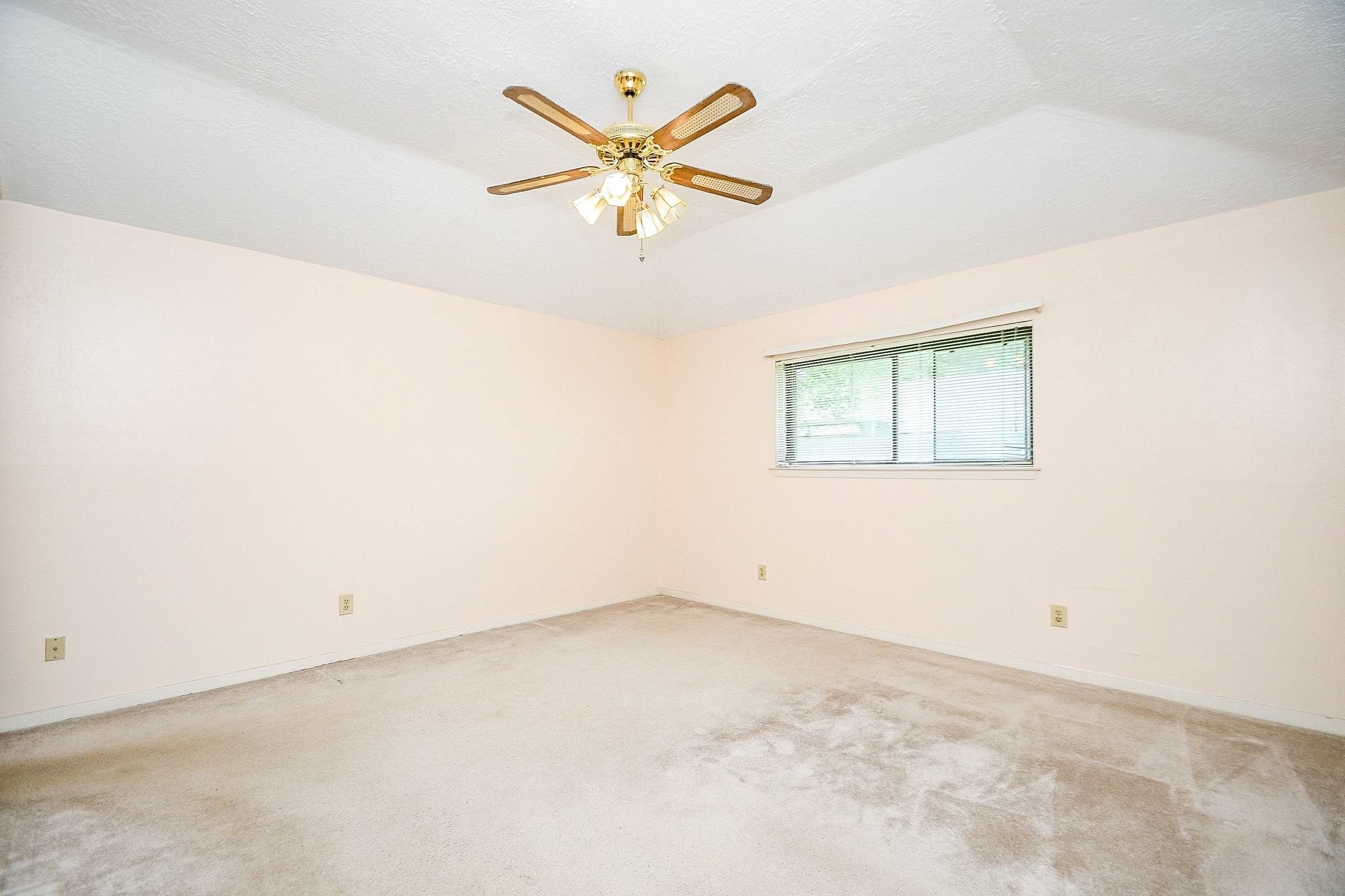 4902 Rainwater Drive Property Photo 20