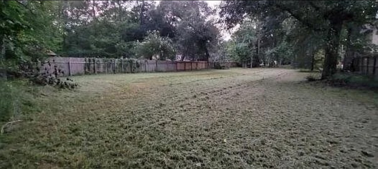 27312-a Blueberry Hill Drive Property Photo 5