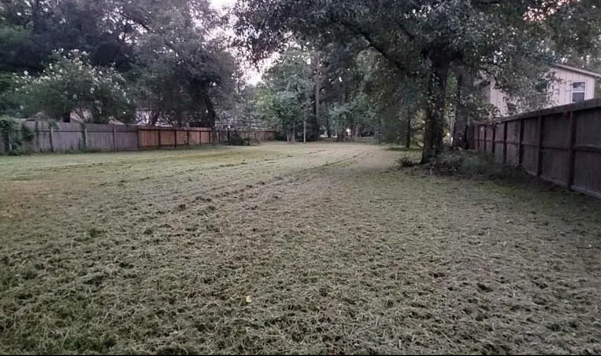 27312-a Blueberry Hill Drive Property Photo 6
