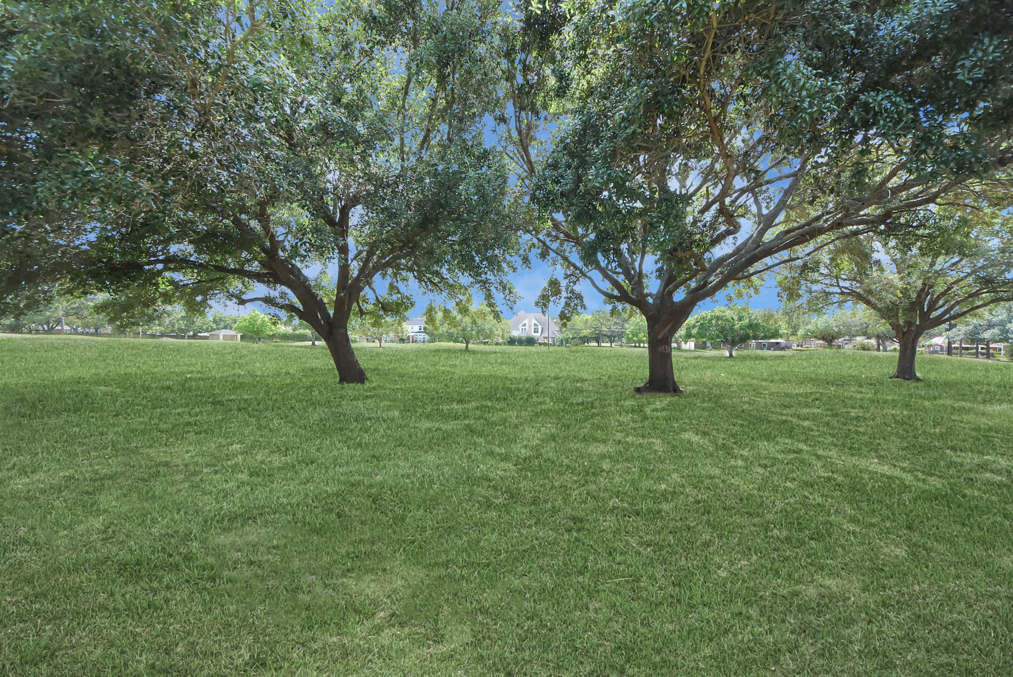 4214 Cambry Park Property Photo 39