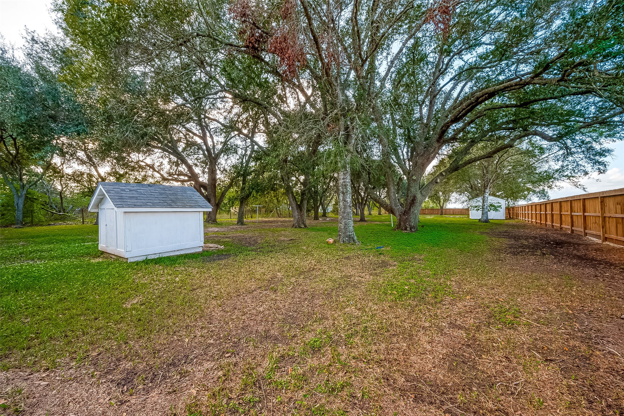 11426 Needville Fairchilds Road Property Photo 15