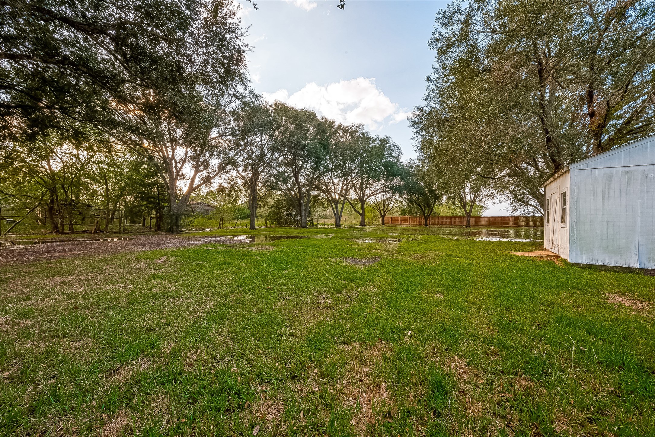 11426 Needville Fairchilds Road Property Photo 16