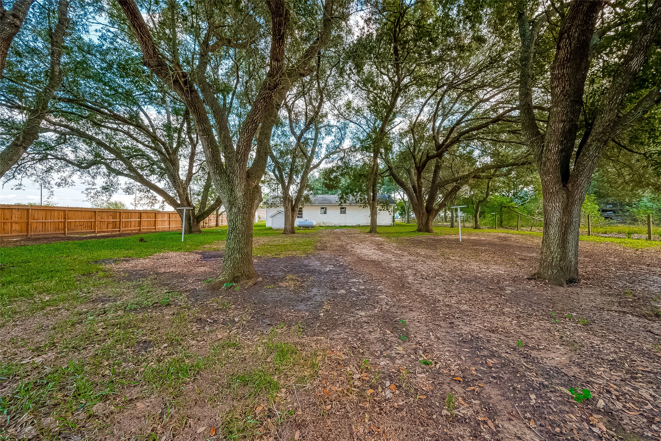 11426 Needville Fairchilds Road Property Photo 18